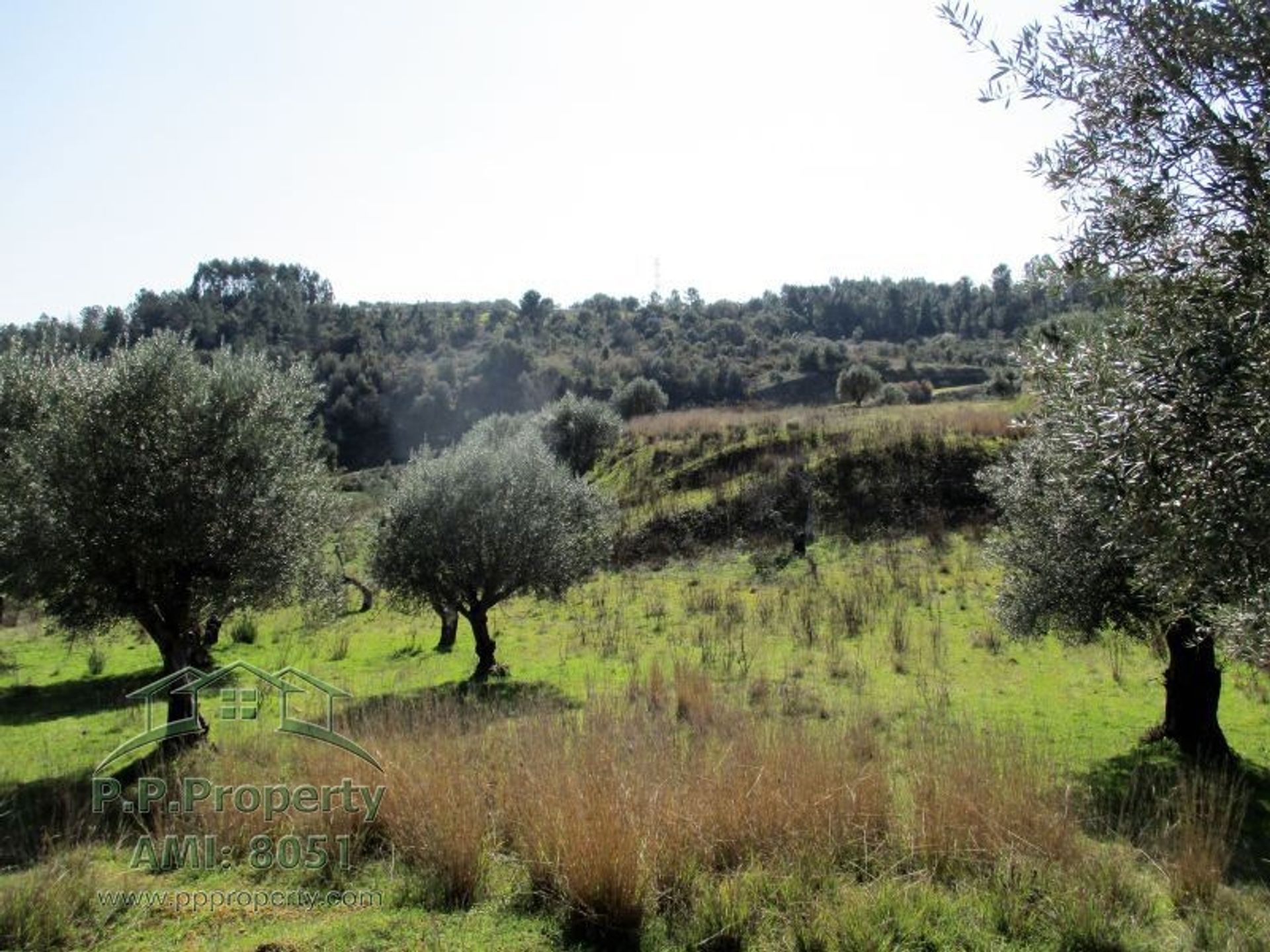 casa en Torres Novas, Santarem 10029099