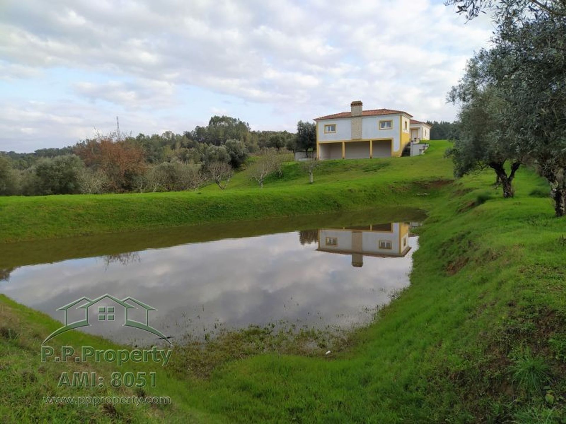 House in Torres Novas, Santarem 10029099