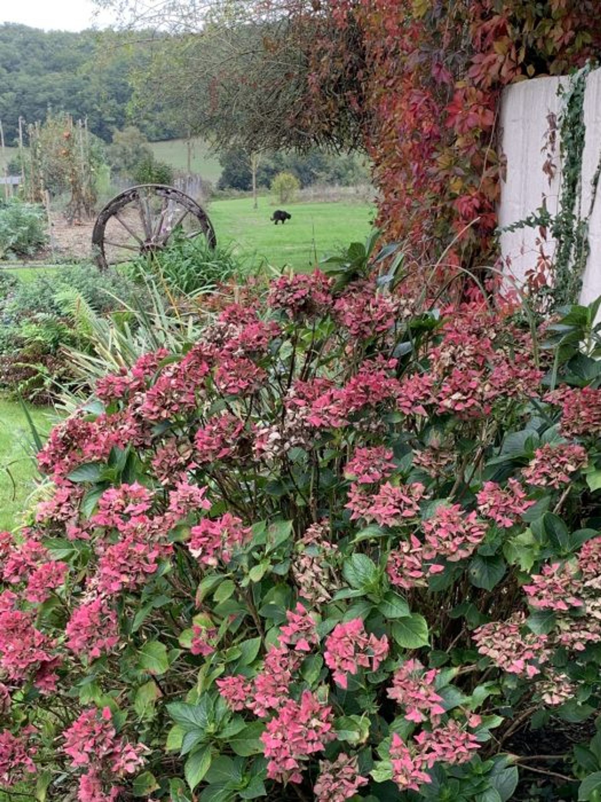 Rumah di Tillac, Midi-Pyrenees 10029111