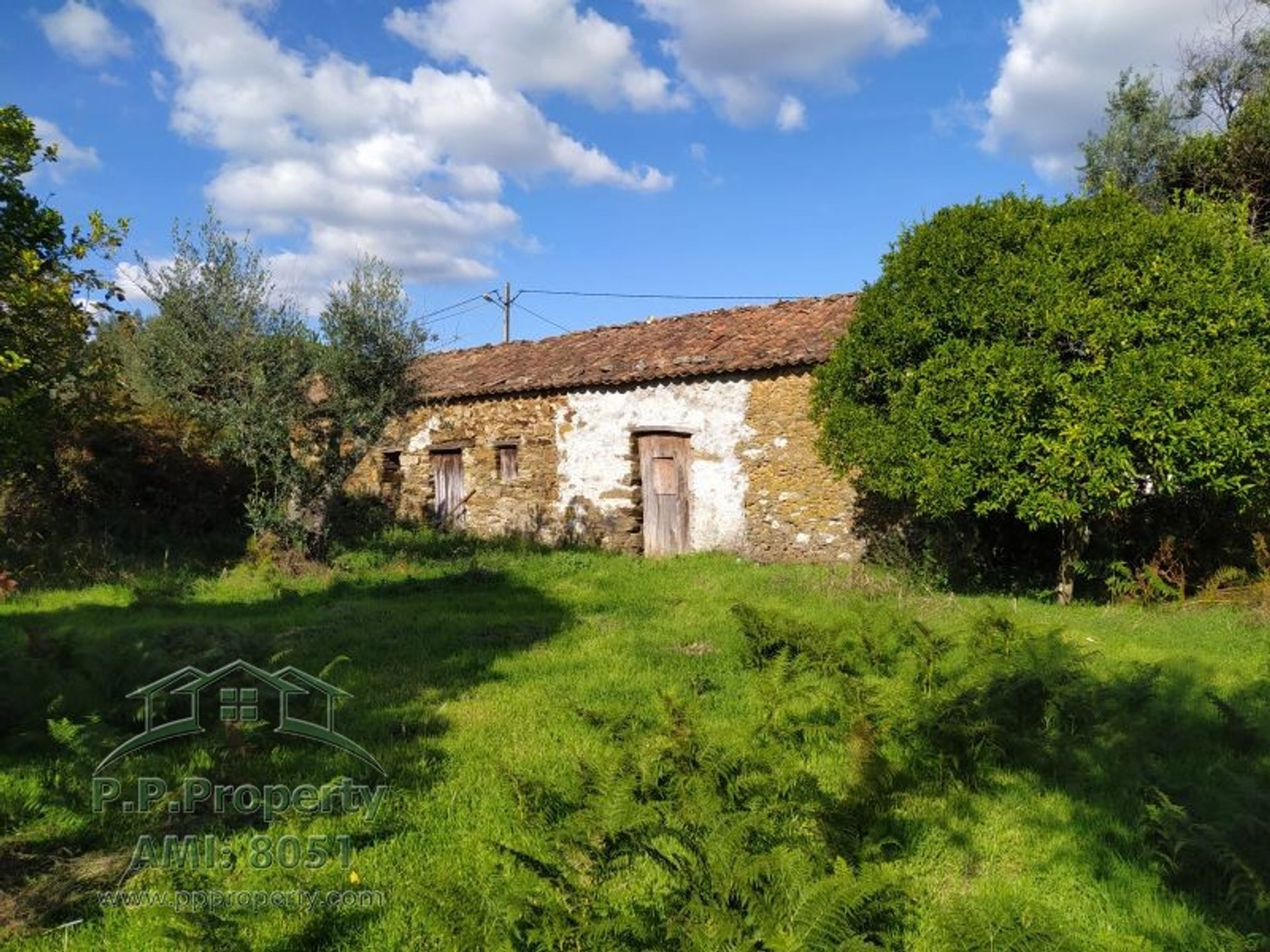 жилой дом в Ferreira do Zezere, Santarem 10029112