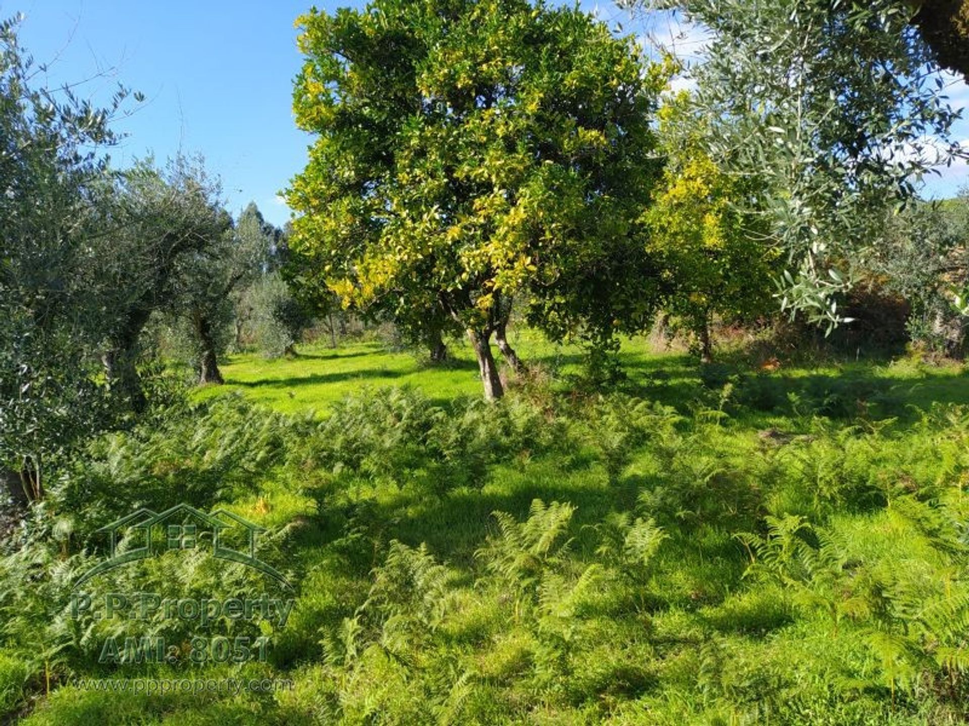 بيت في Ferreira do Zezere, Santarem 10029112