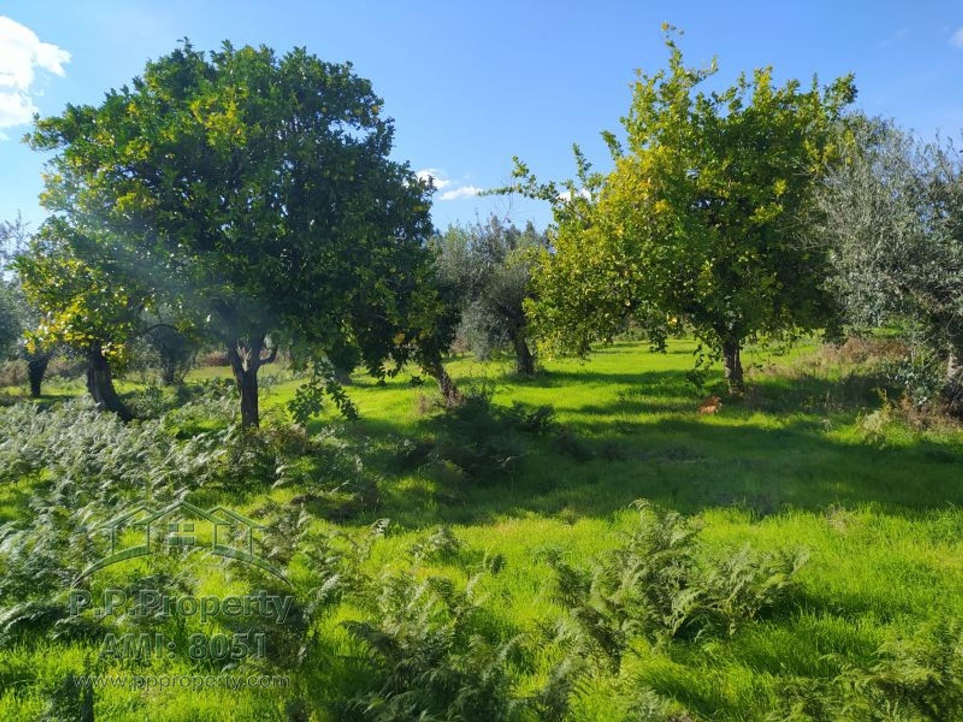 Talo sisään Ferreira do Zezere, Santarem 10029112