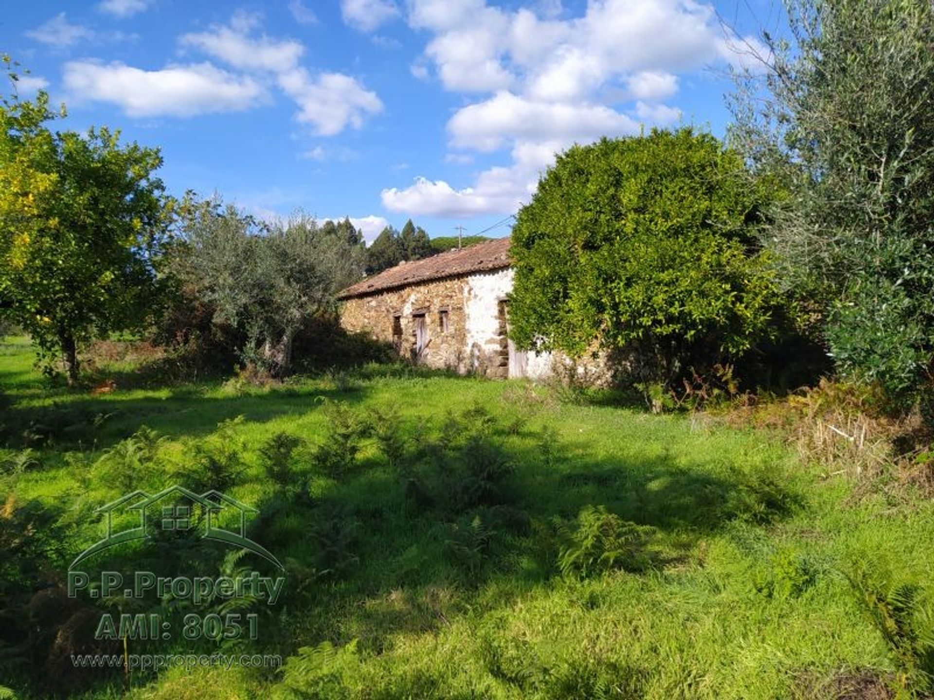 Casa nel Ferreira do Zezere, Santarem 10029112