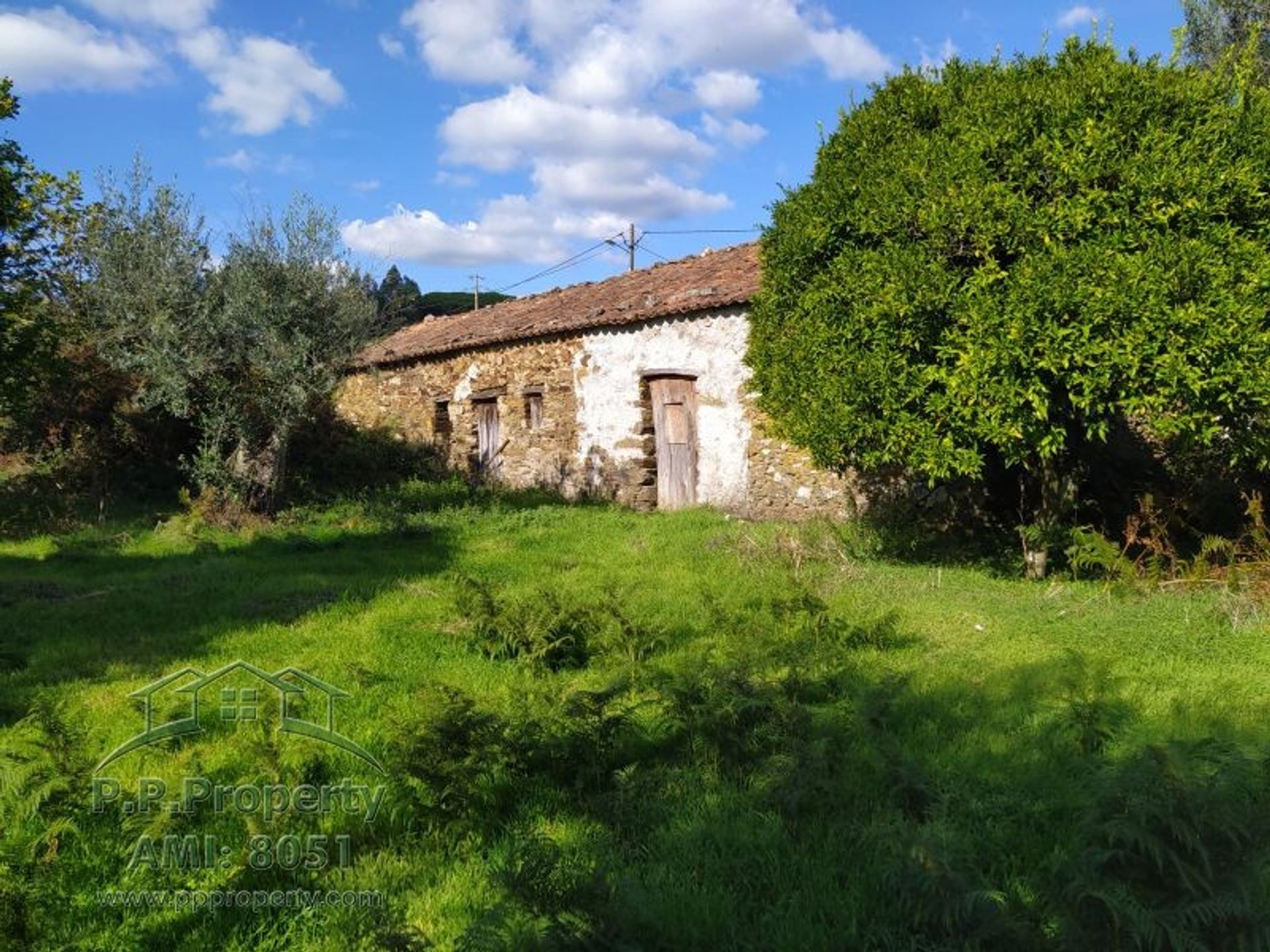 House in Ferreira do Zezere, Santarem 10029112