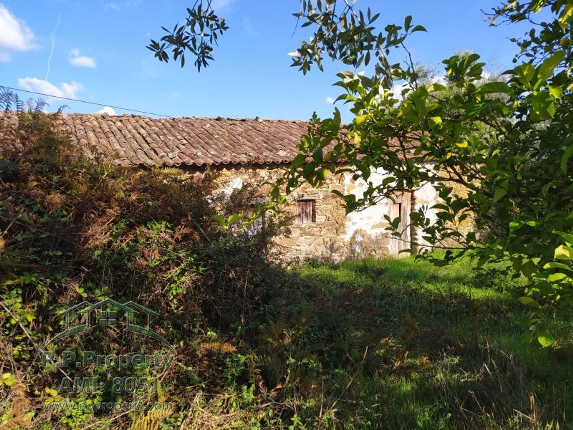 casa en Ferreira do Zezere, Santarem 10029112