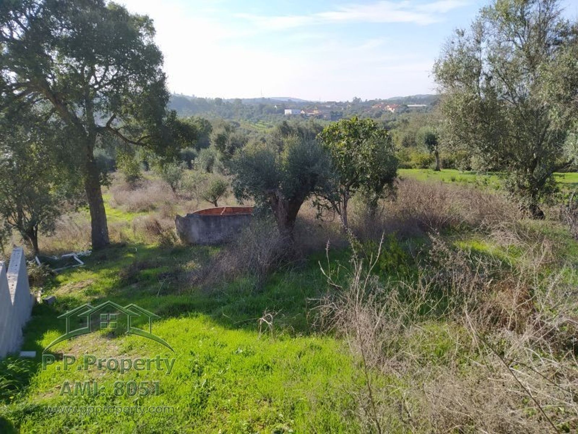 casa en Ferreira do Zezere, Santarem 10029113