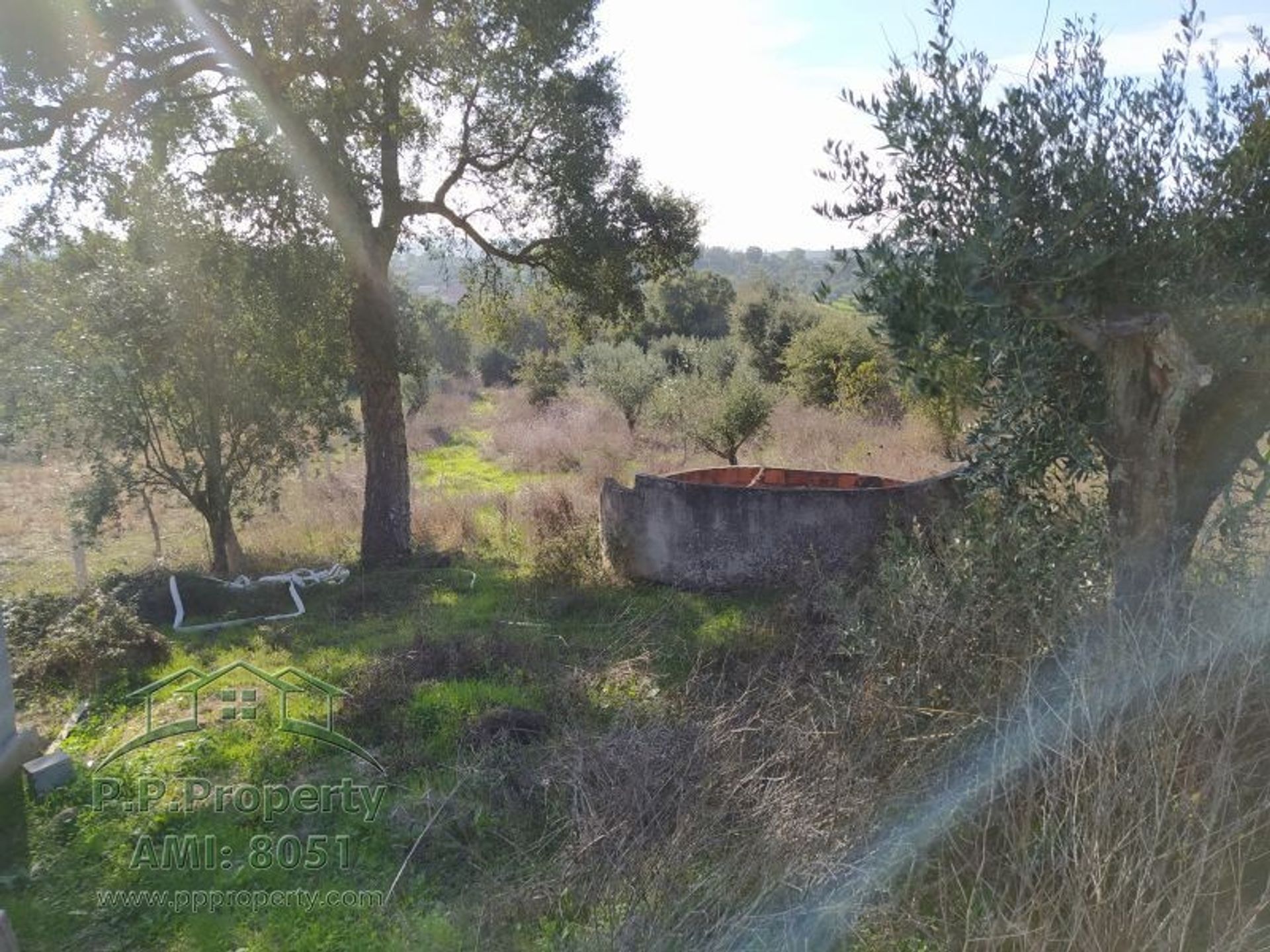 loger dans Ferreira do Zêzere, Santarém 10029113