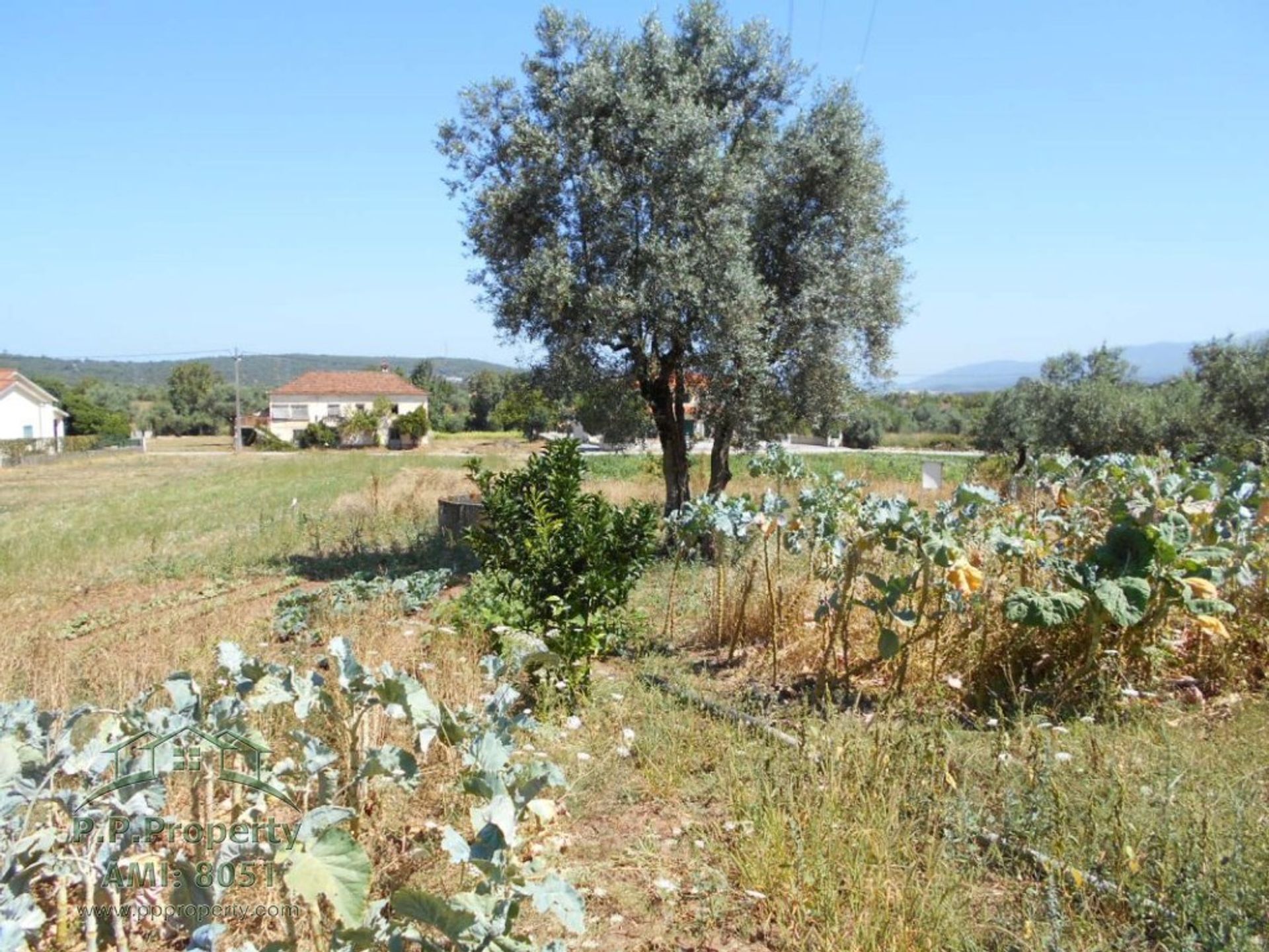 بيت في Ansiao, Leiria 10029131