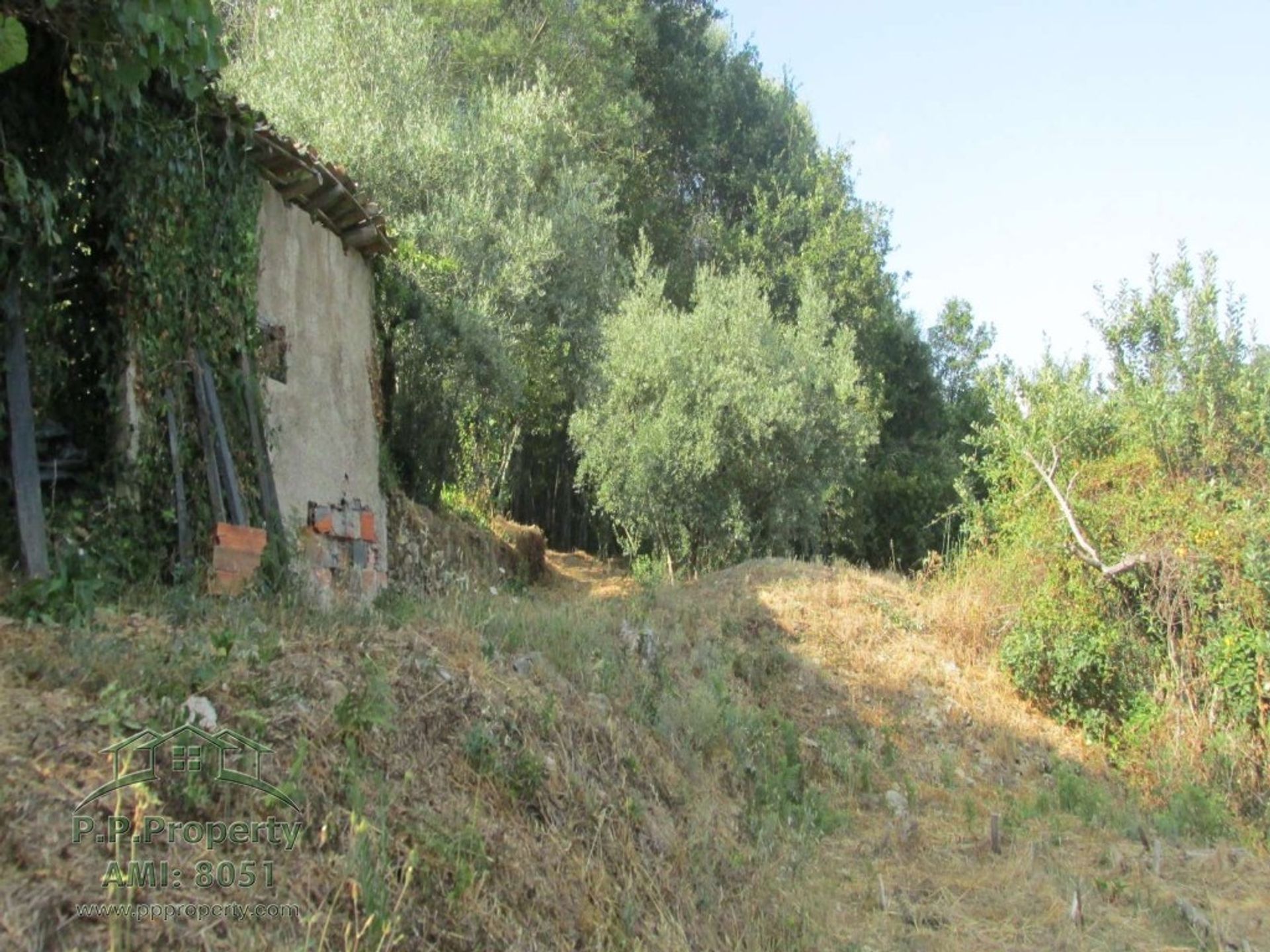 Rumah di Vila Nova de Poiares, Coimbra 10029143