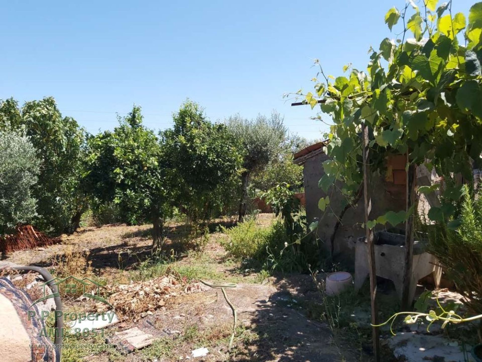 casa no Ferreira do Zezere, Santarem 10029151