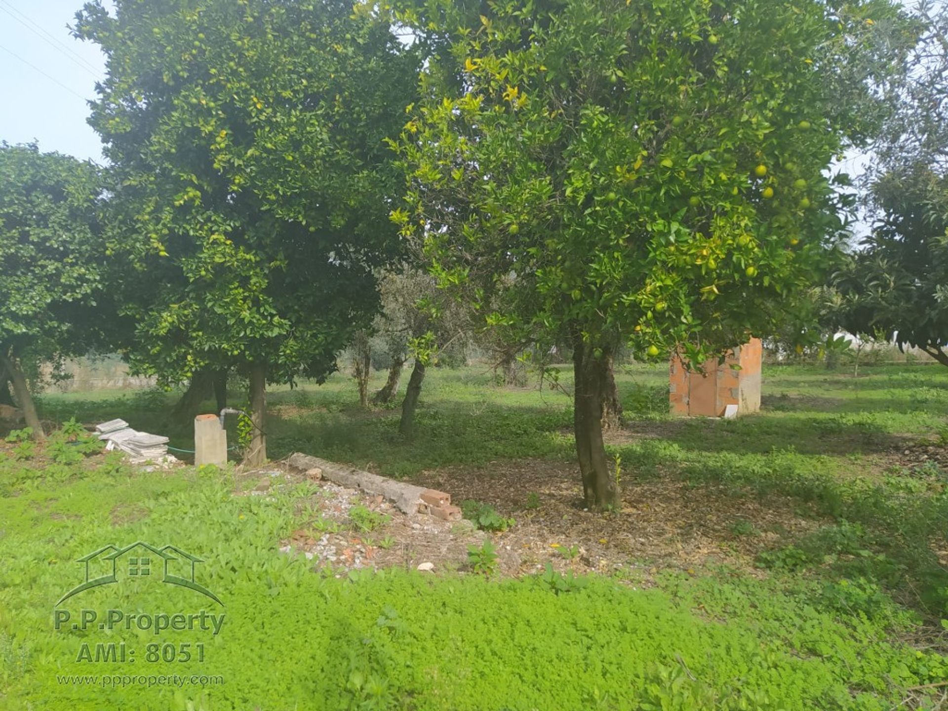 Rumah di Ferreira do Zezere, Santarem 10029164