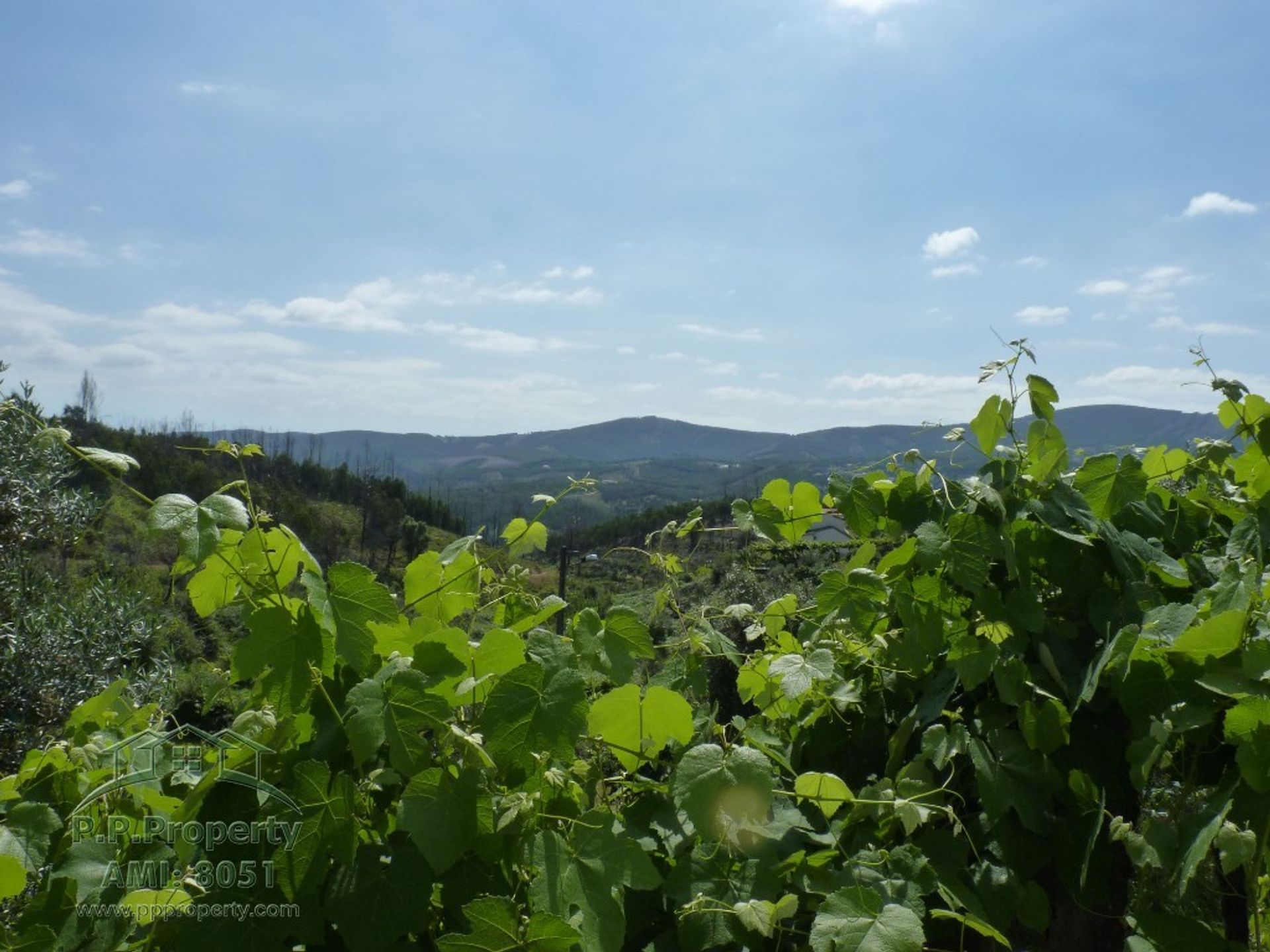 жилой дом в Castanheira de Pera, Leiria 10029177