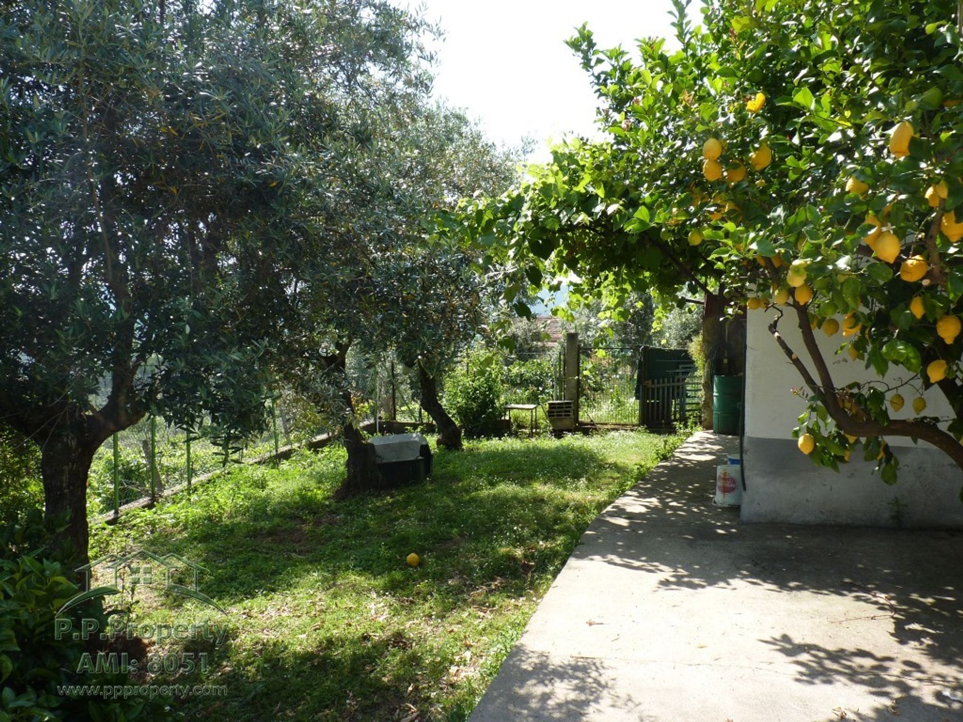 Casa nel Castanheira de Pera, Leiria 10029177