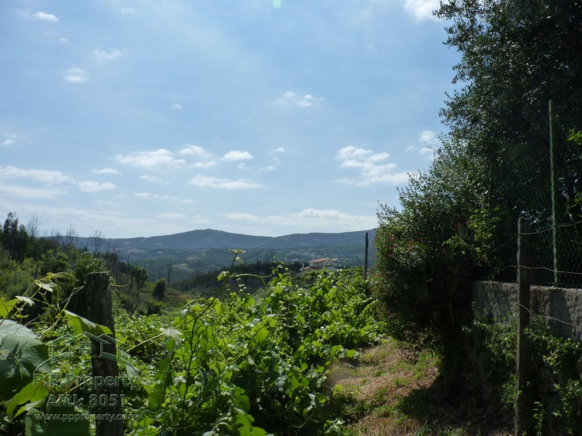 Casa nel Castanheira de Pera, Leiria 10029177