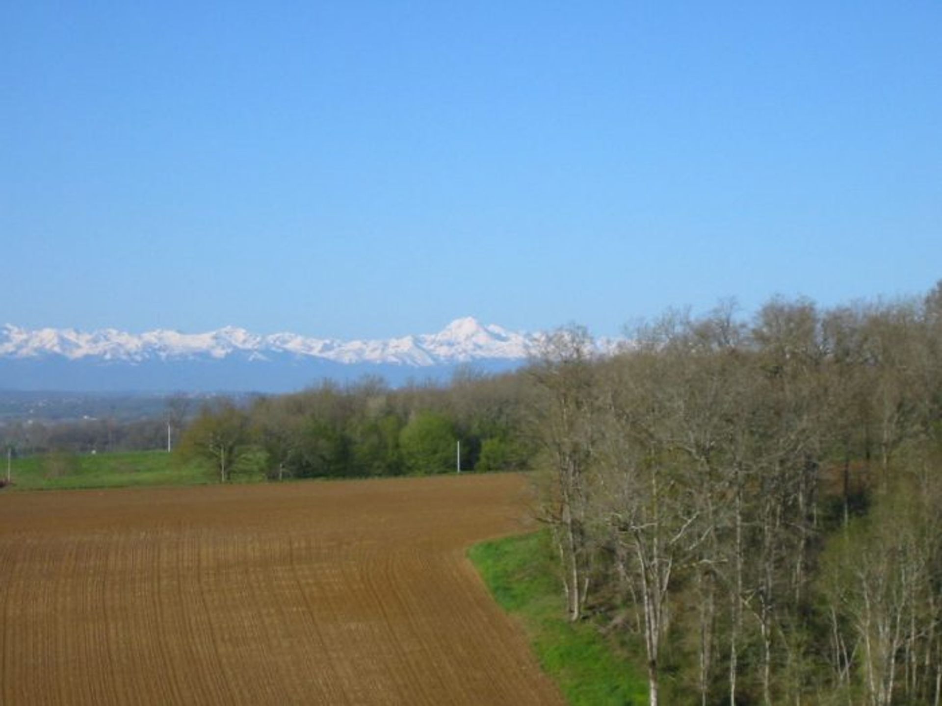 मकान में L'Isle-en-Dodon, Midi-Pyrenees 10029181