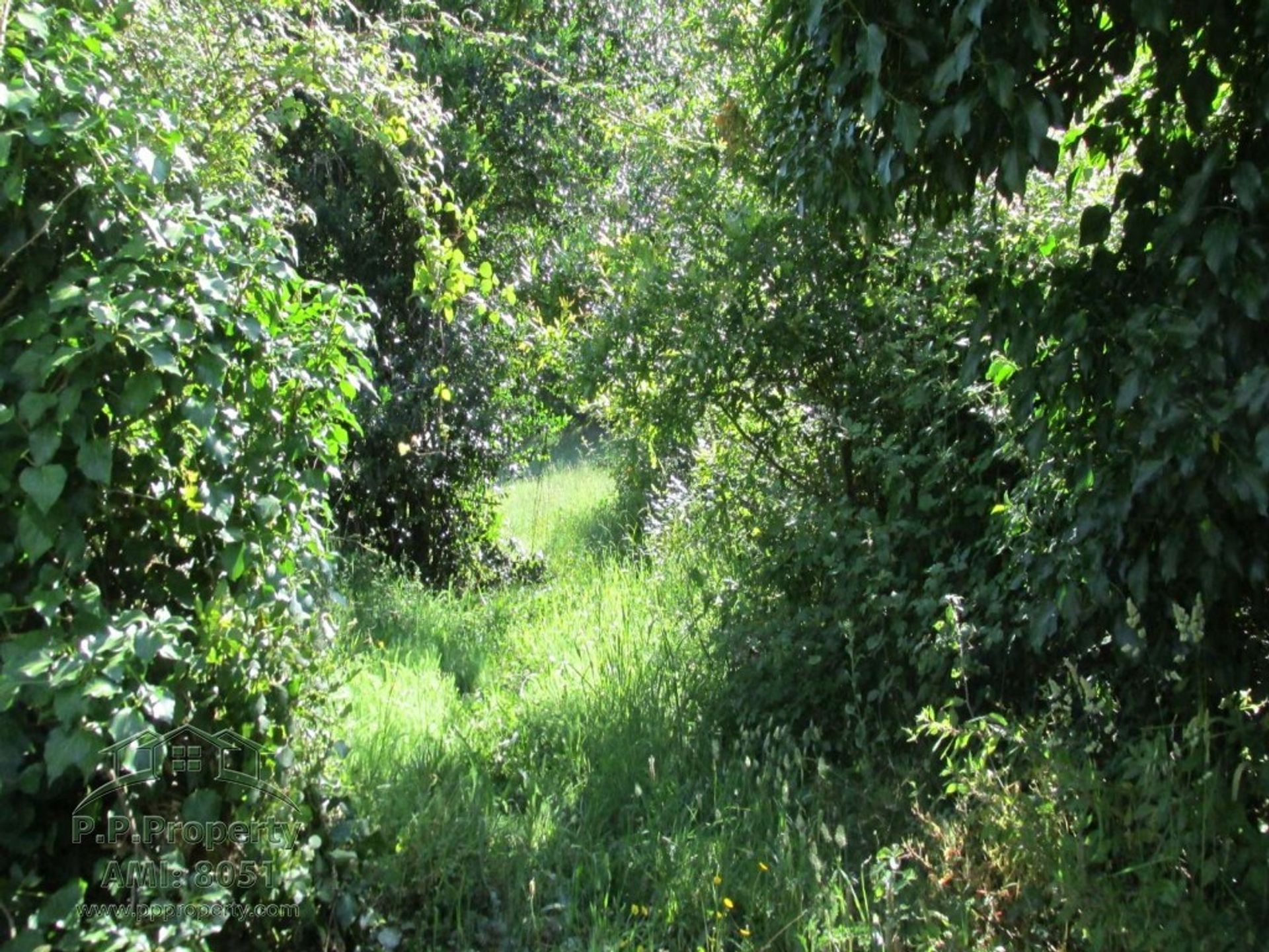 Tierra en ferreira, Coímbra 10029187