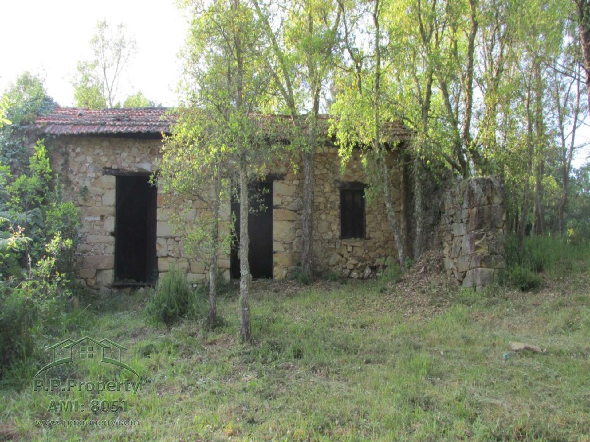 土地 在 Vila Nova de Poiares, Coimbra 10029189