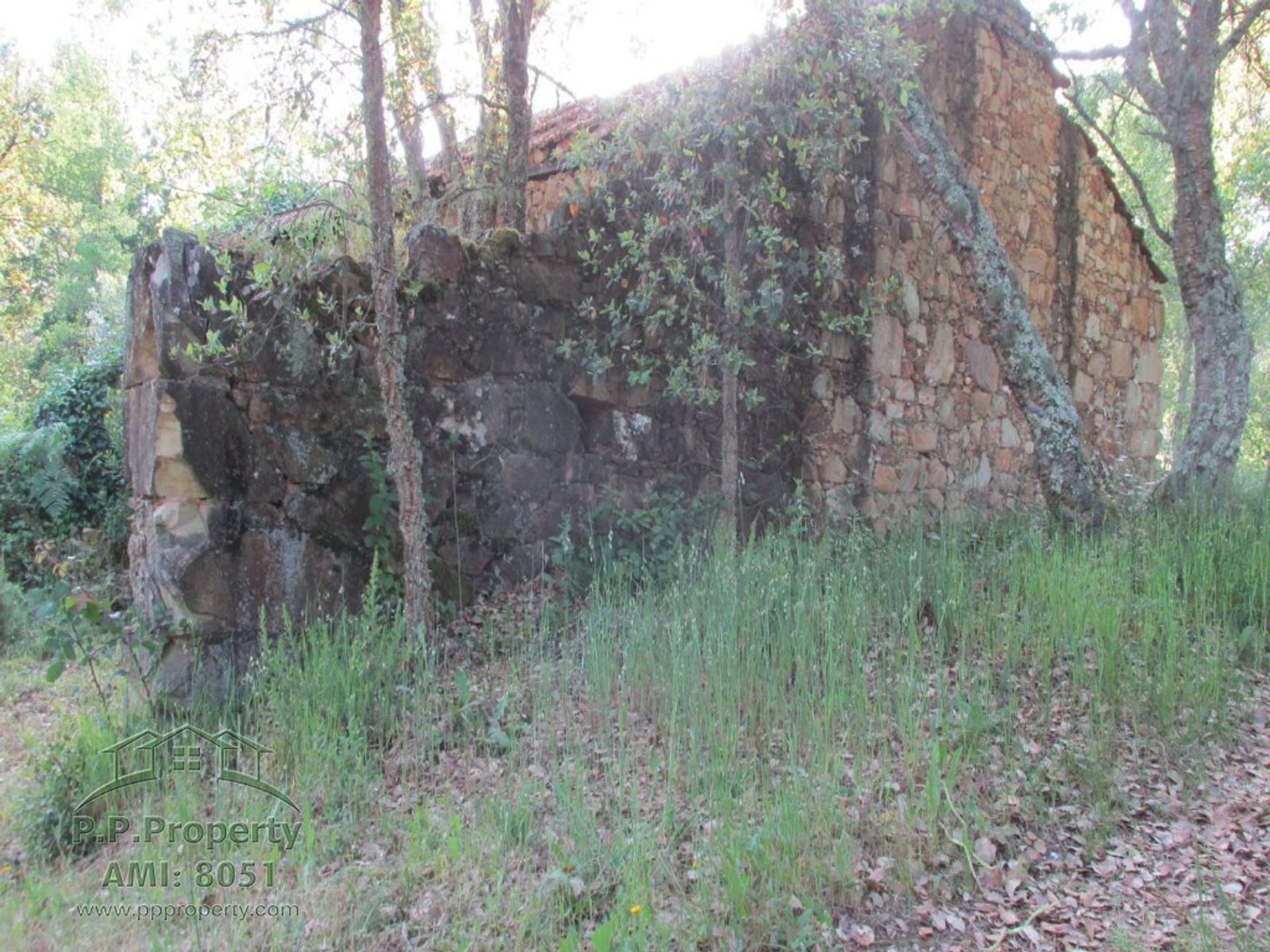 土地 在 Vila Nova de Poiares, Coimbra 10029189