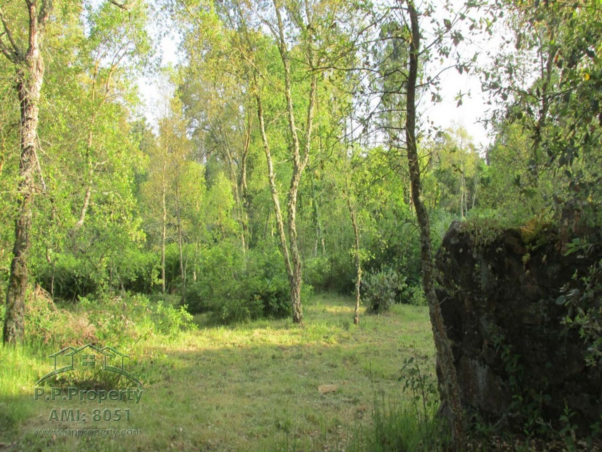 Land in Ferreira, Coïmbra 10029189