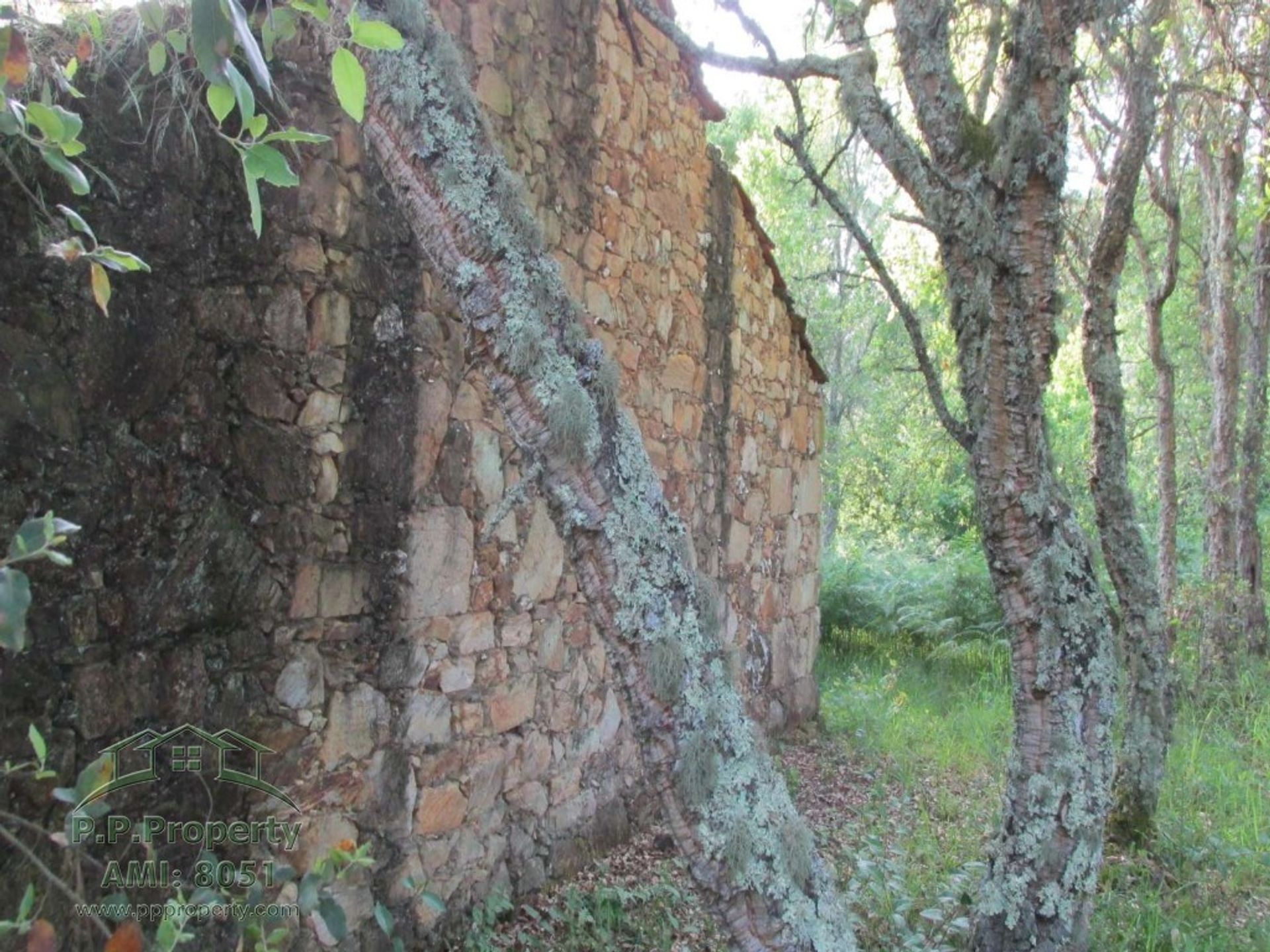 Tanah dalam Ferreira, Coimbra 10029189