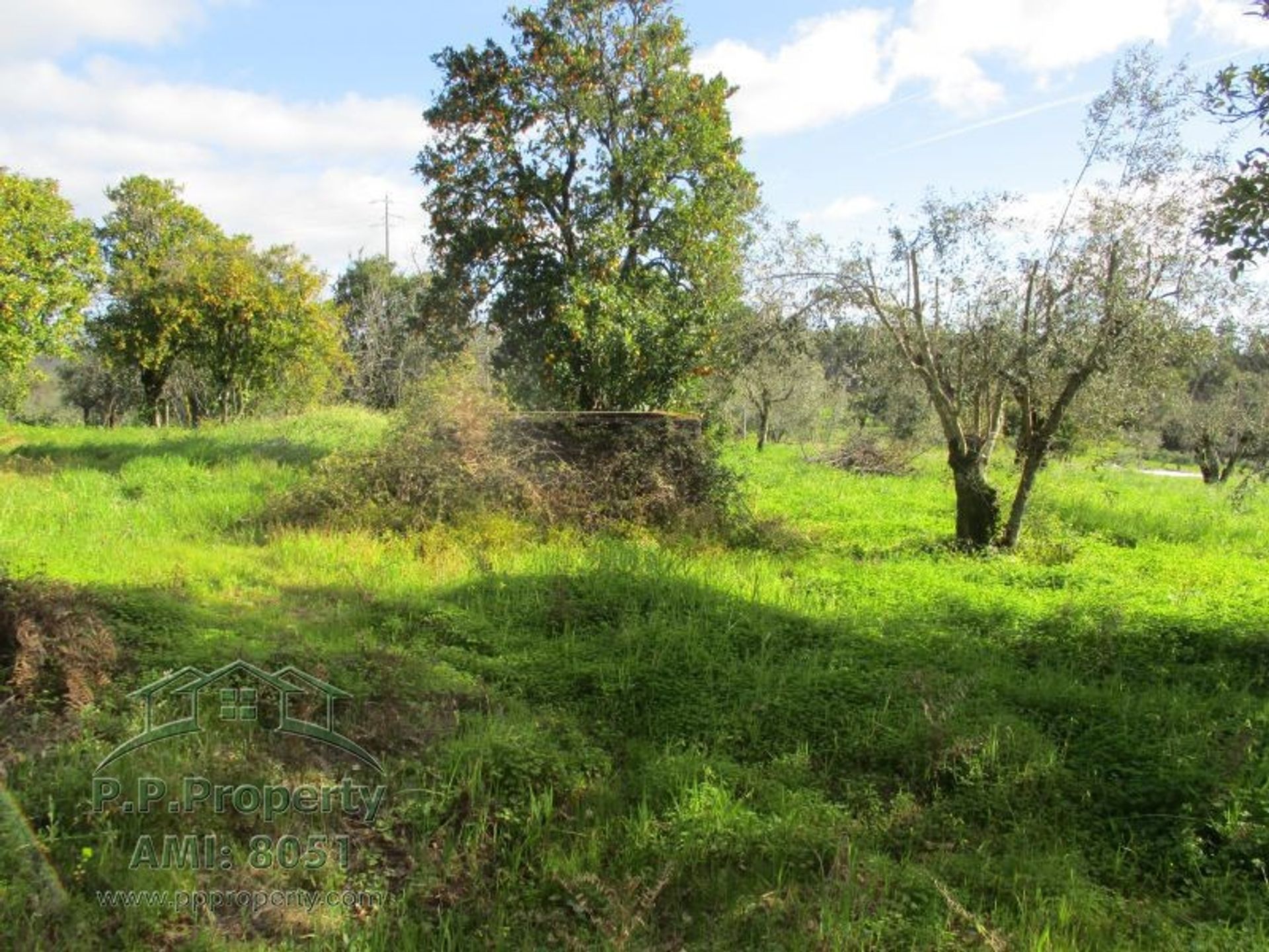 loger dans Ferreira do Zezere, Santarem 10029190