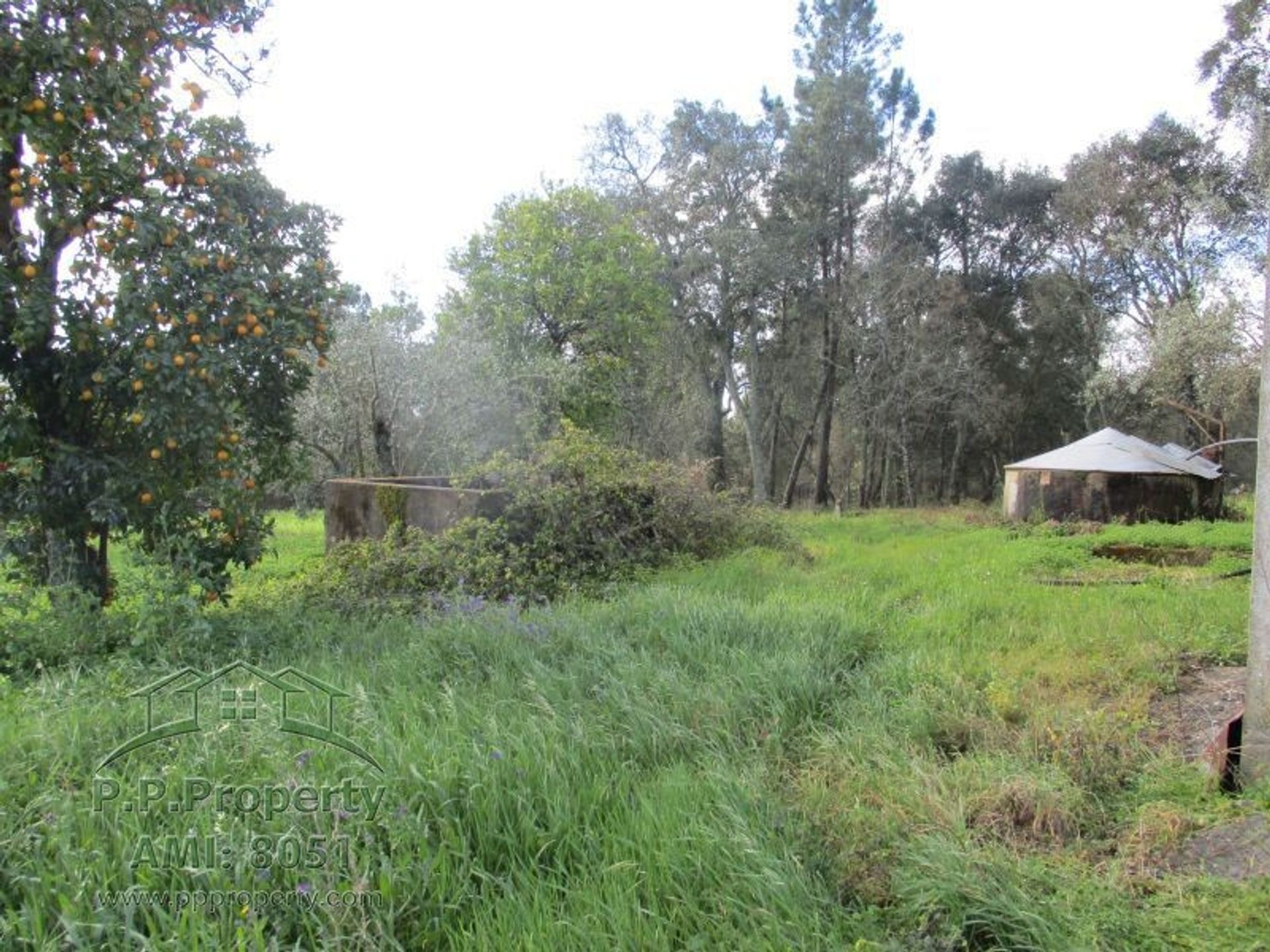 loger dans Ferreira do Zêzere, Santarém 10029190