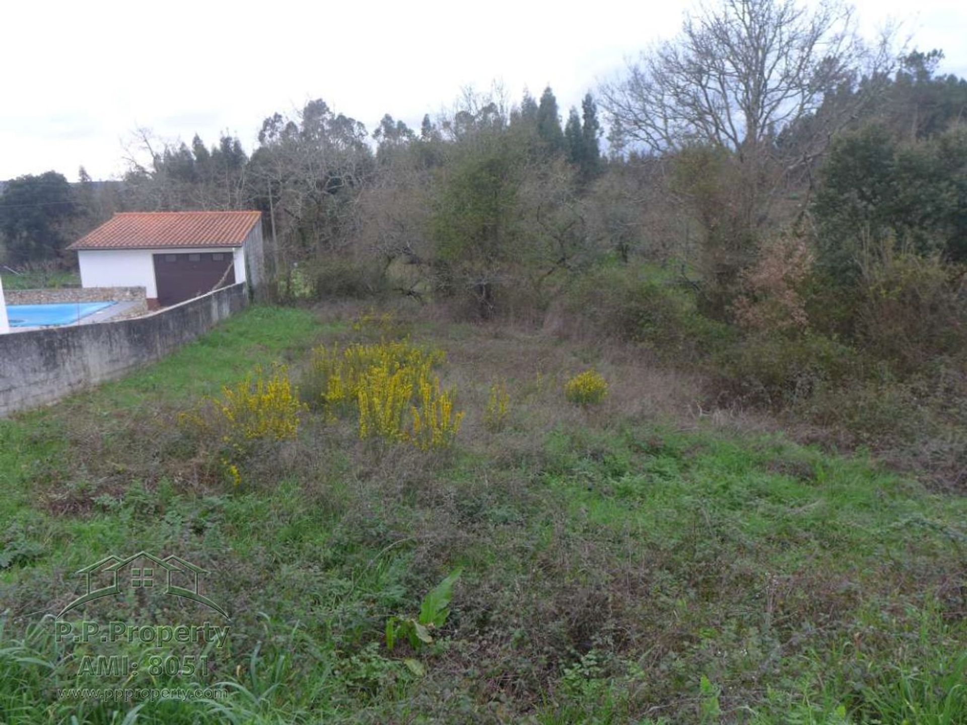 Land in Ansiao, Leiria 10029201