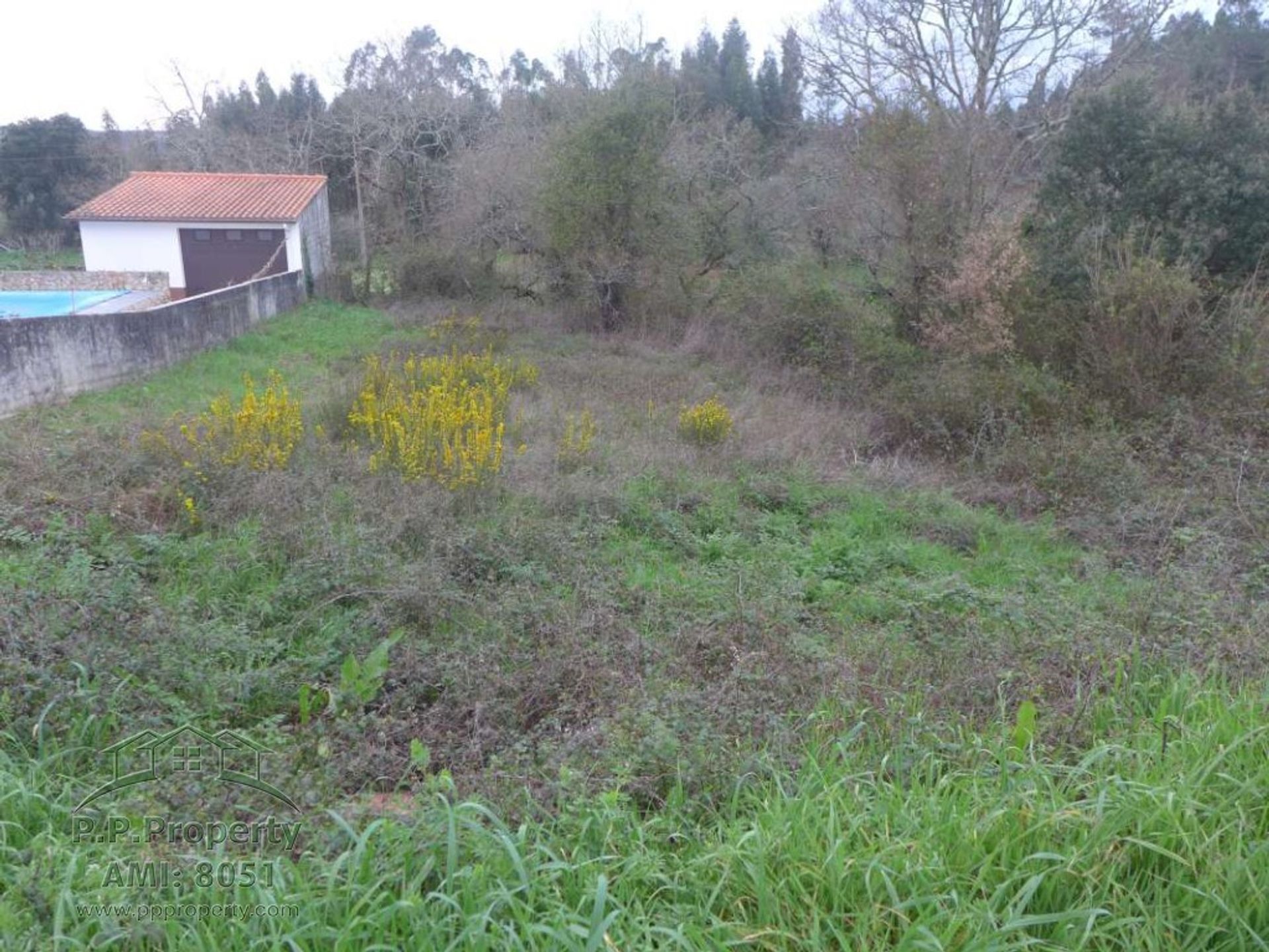 Land in Ansiao, Leiria 10029201