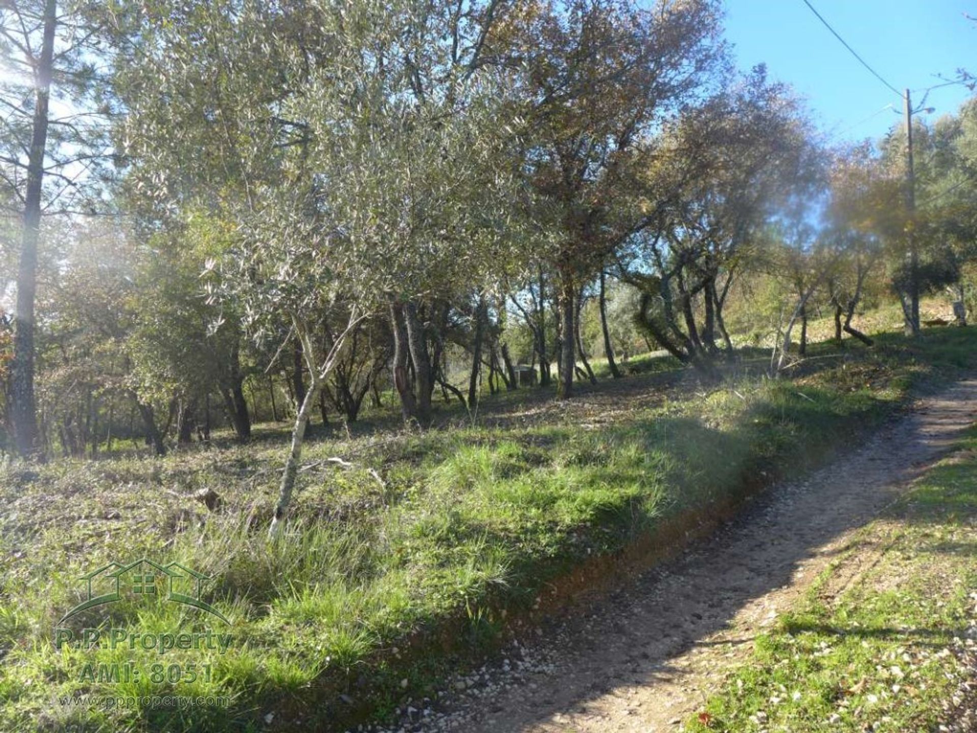 Land in Alvaiazere, Leiria 10029202