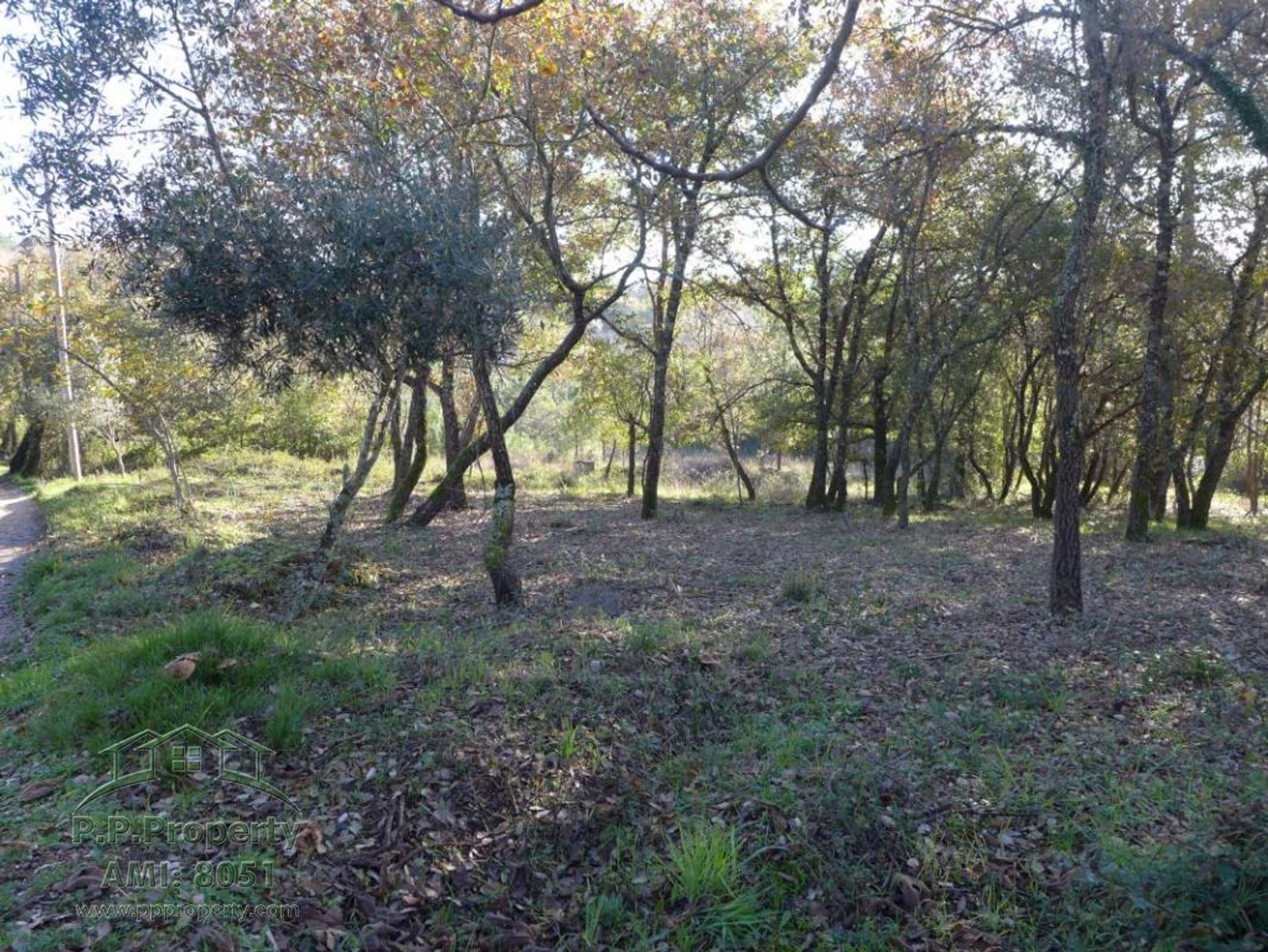 Land i Alvaiazere, Leiria 10029202