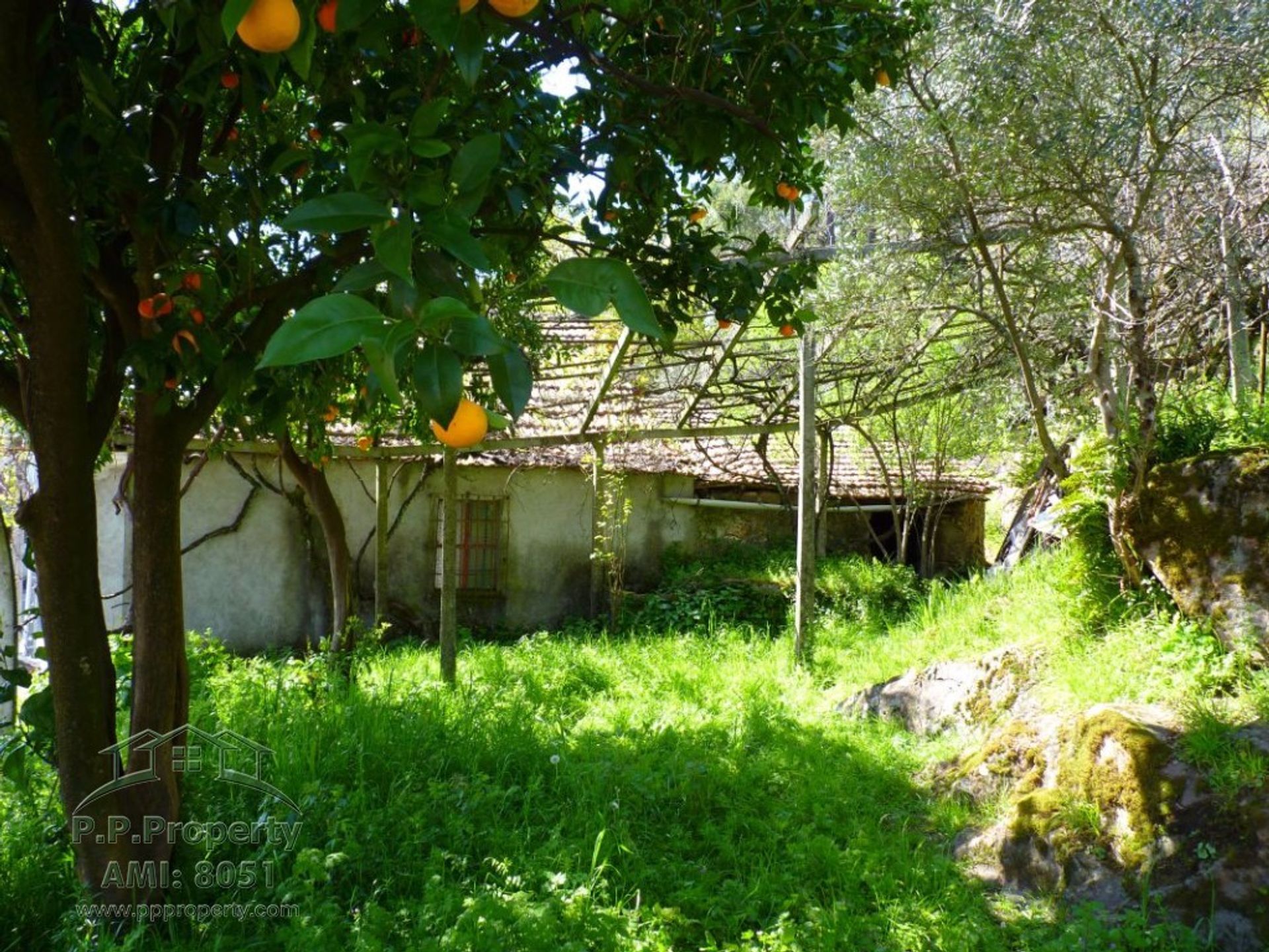 casa no Figueiro dos Vinhos, Leiria 10029203