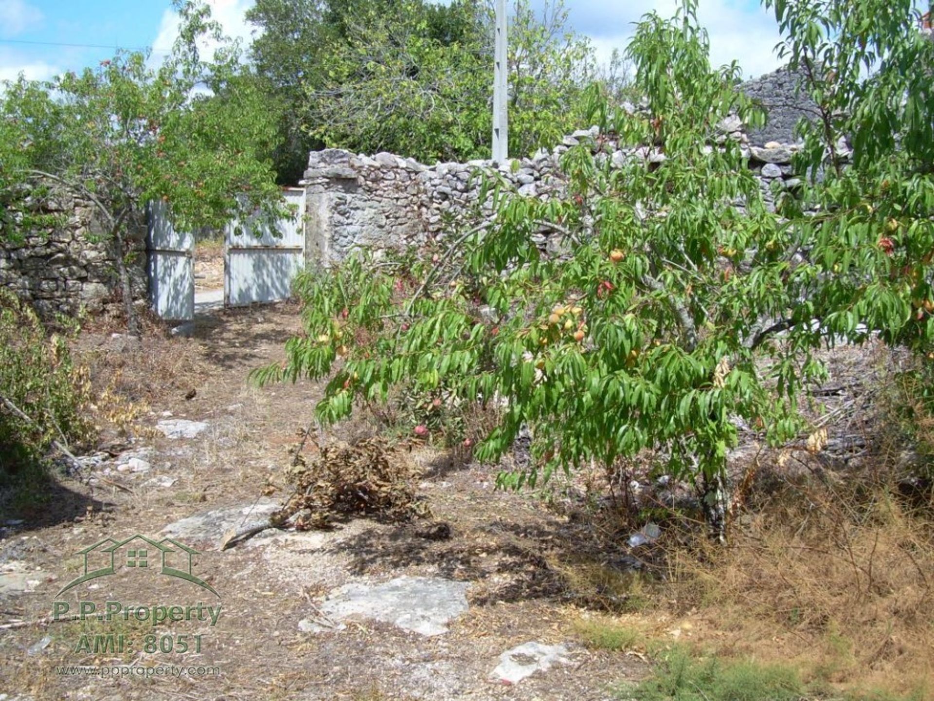 σπίτι σε Alvaiazere, Leiria 10029208