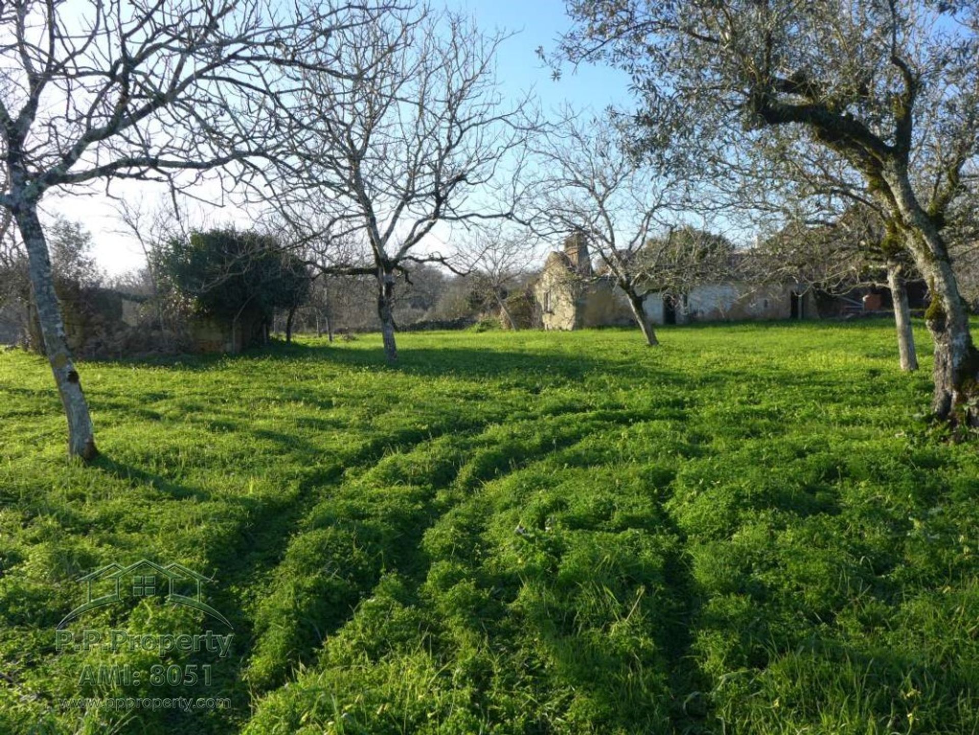 بيت في Pombal, Leiria 10029209