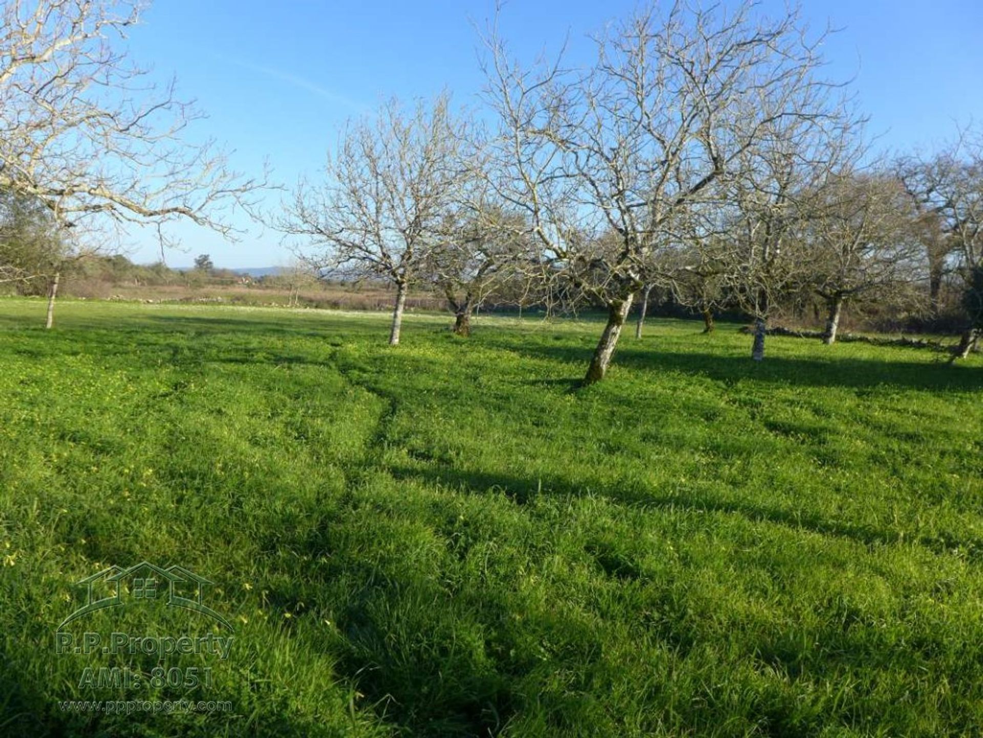 Huis in Pombal, Leiria 10029209