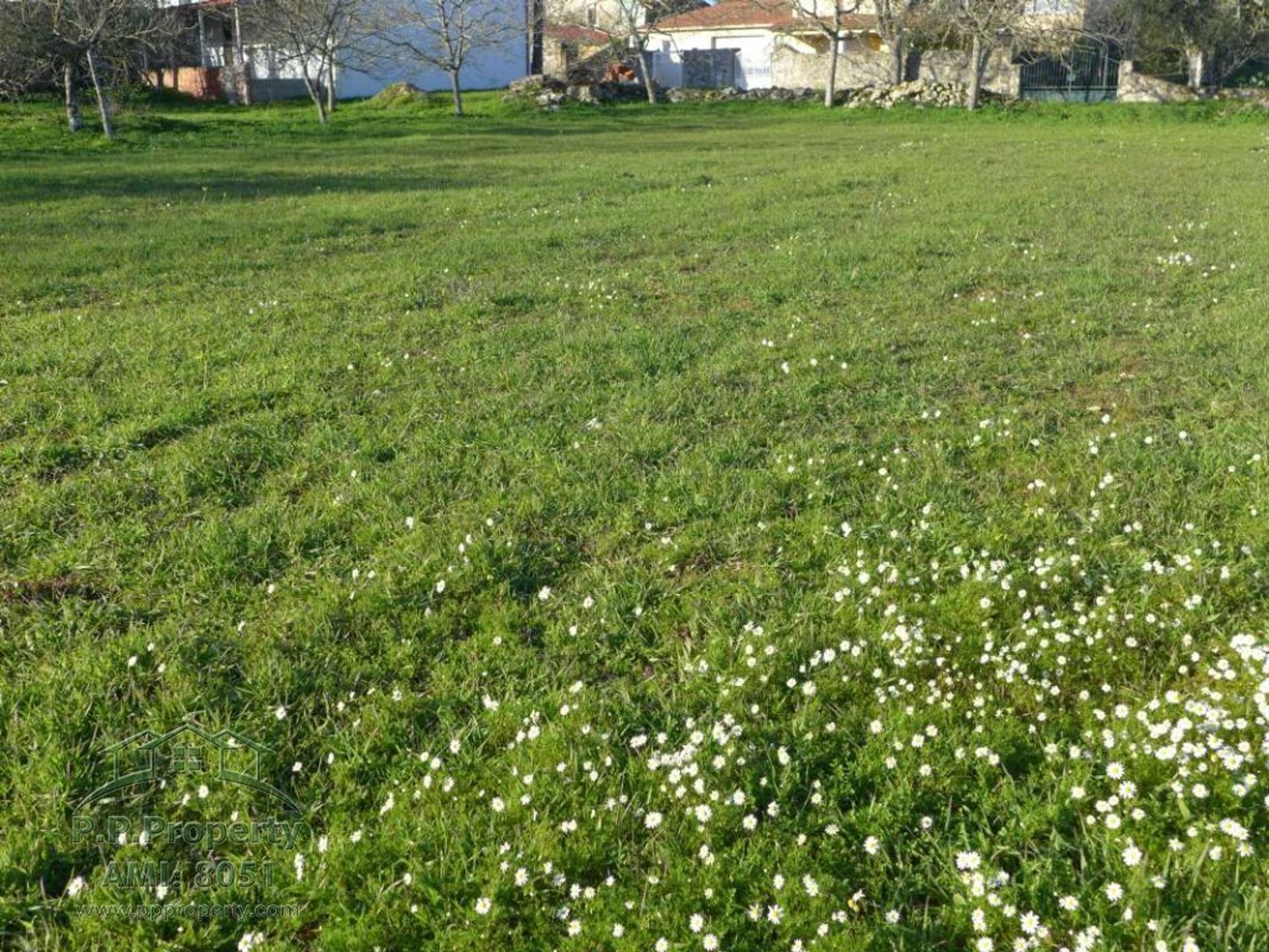 Huis in Pombal, Leiria 10029209