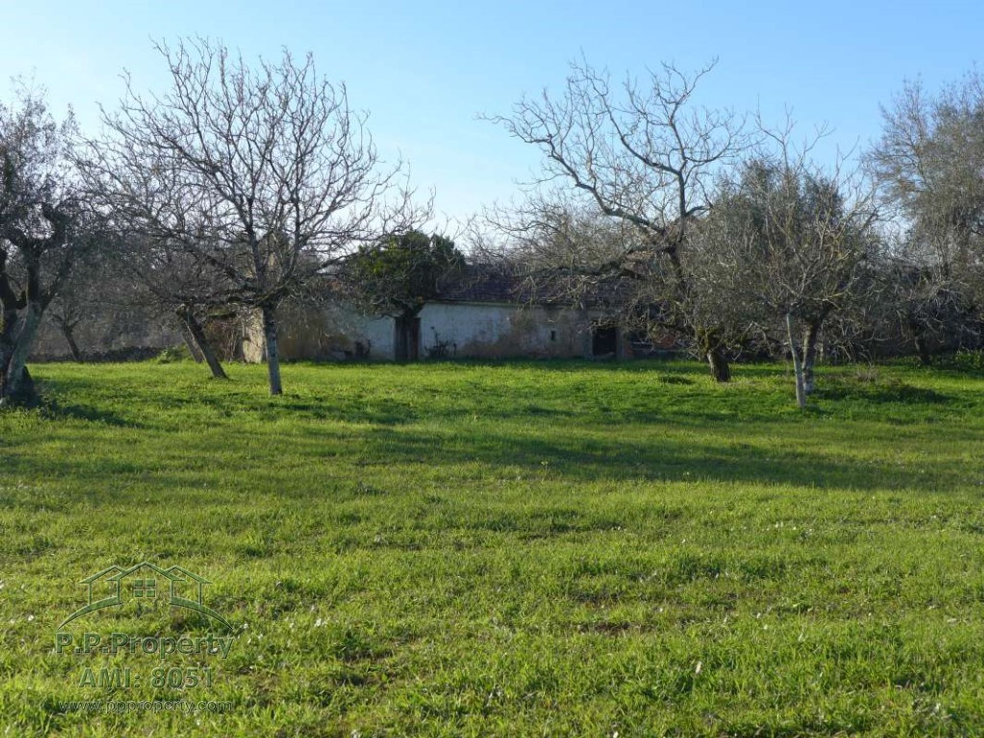 Huis in Pombal, Leiria 10029209