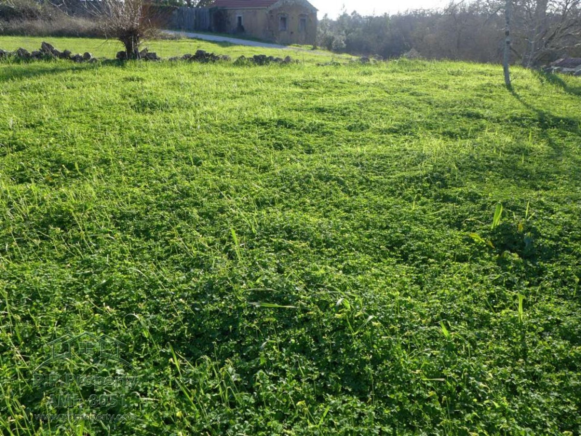 بيت في Pombal, Leiria 10029209