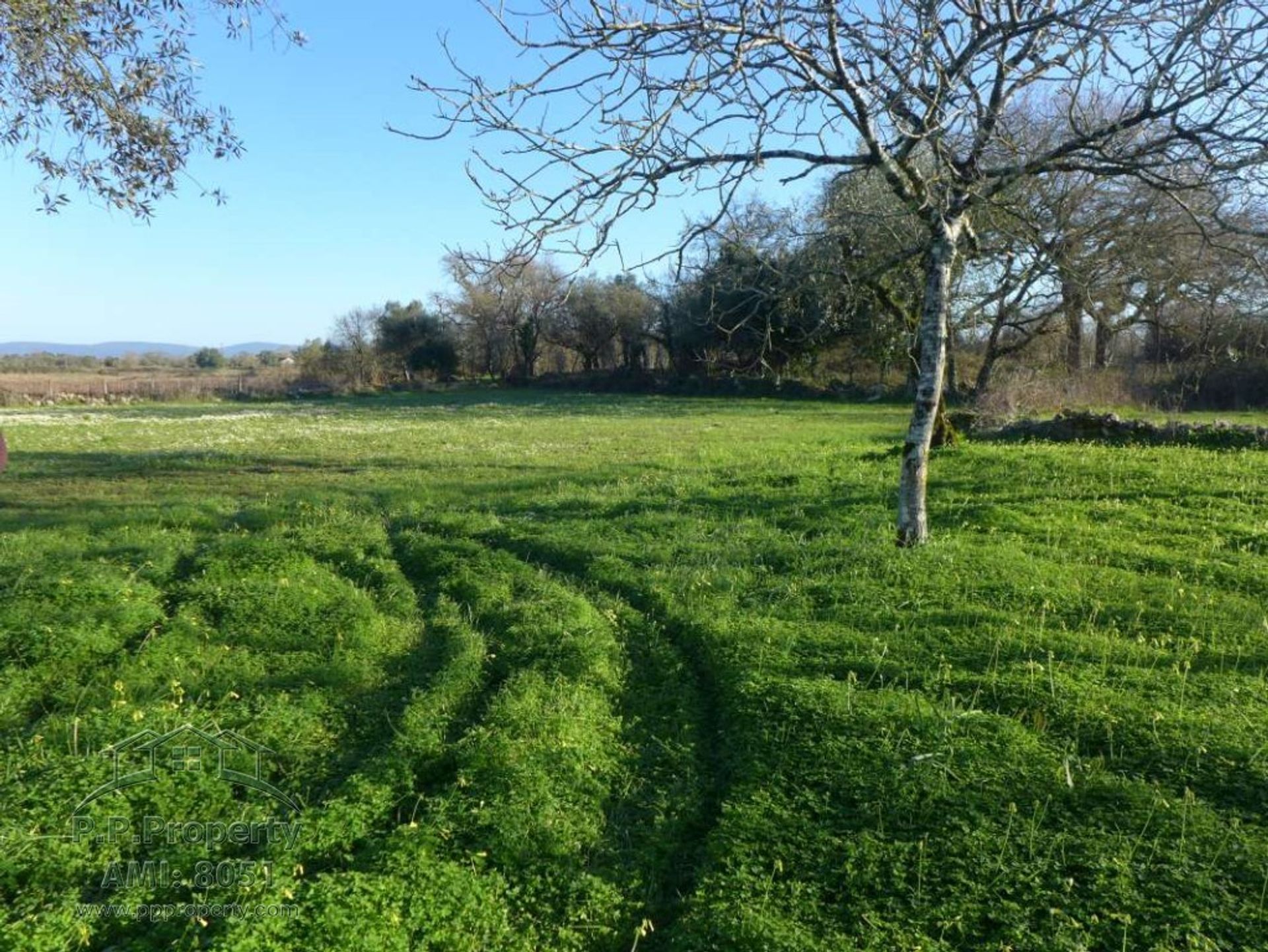 بيت في Pombal, Leiria 10029209