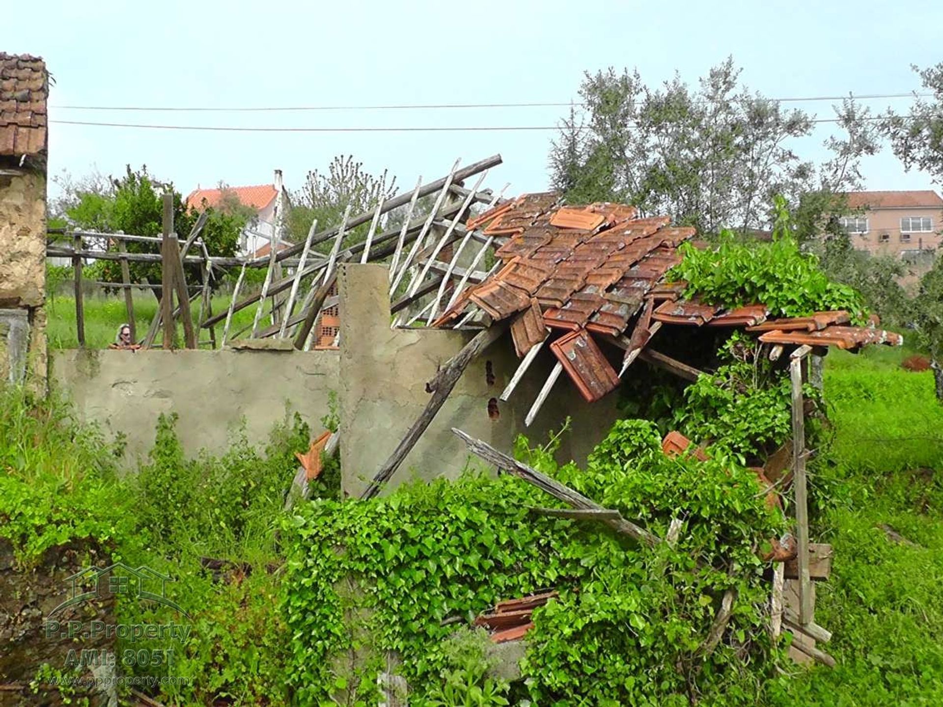 Rumah di Ferreira do Zezere, Santarem 10029213