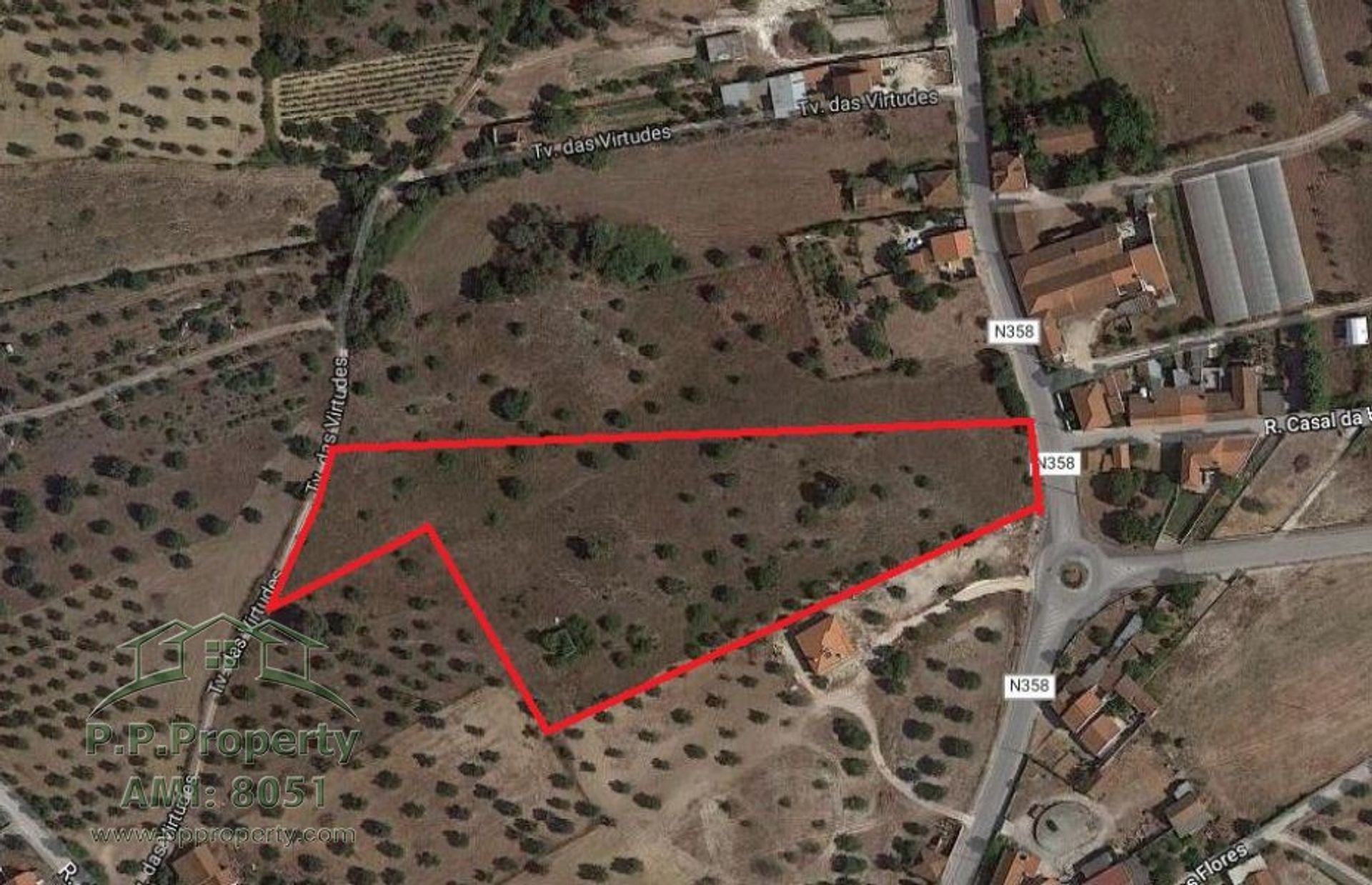 Land in Torres Novas, Santarem 10029218