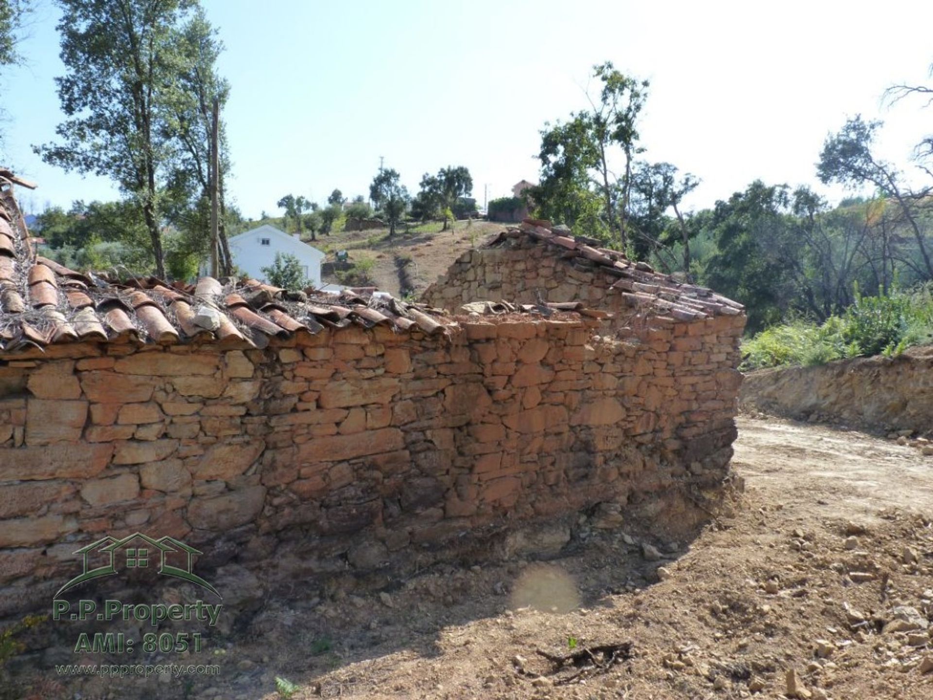 Tierra en Pedrogao Grande, Leiría 10029229