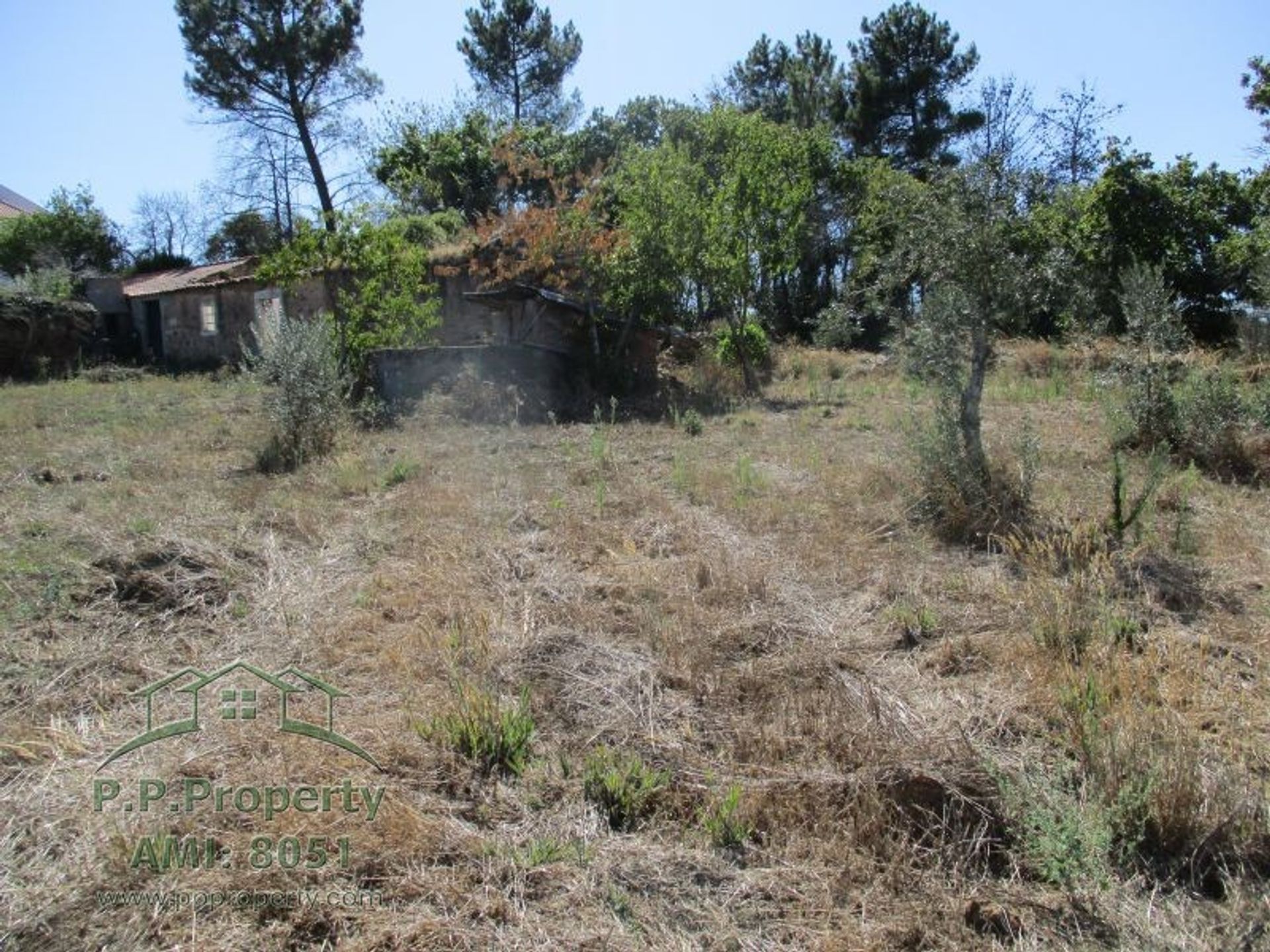 Tierra en Ferreira do Zézere, Santarém 10029230