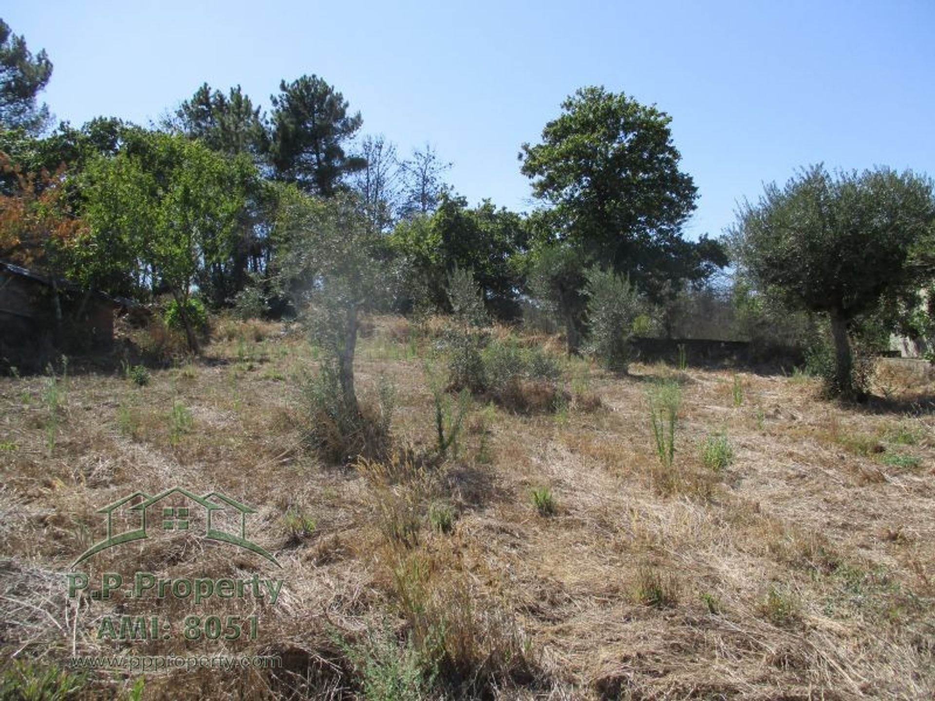 Terra no Ferreira do Zêzere, Santarém 10029230