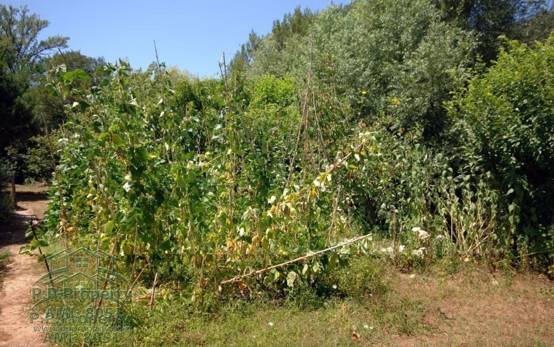 loger dans Miranda do Corvo, Coimbra 10029237