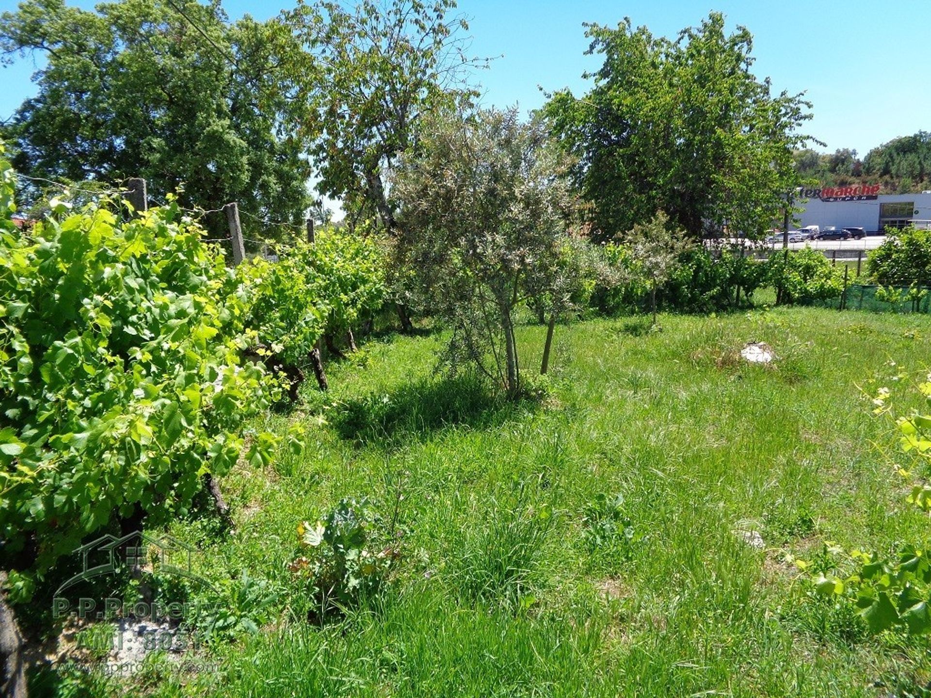 Tierra en Ribeira de São Pedro, Leiría 10029251