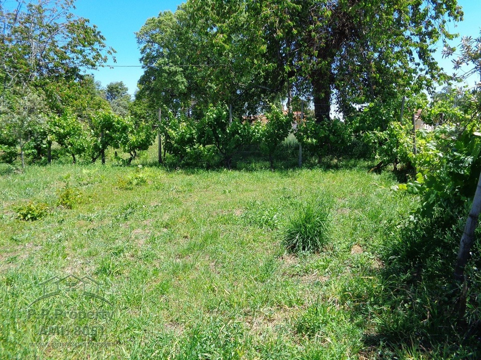 Tierra en Ribeira de São Pedro, Leiría 10029251