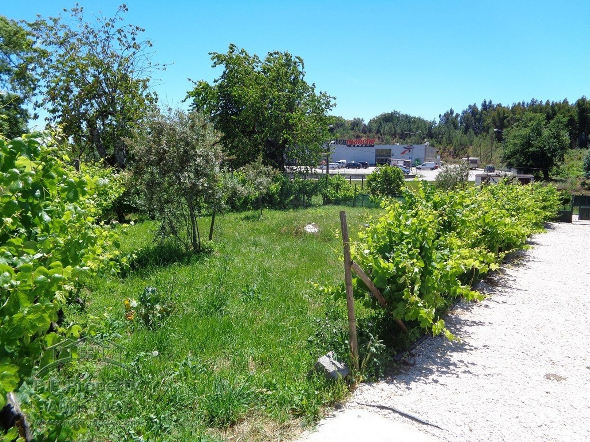 Land i Ribeira de Sao Pedro, Leiria 10029251