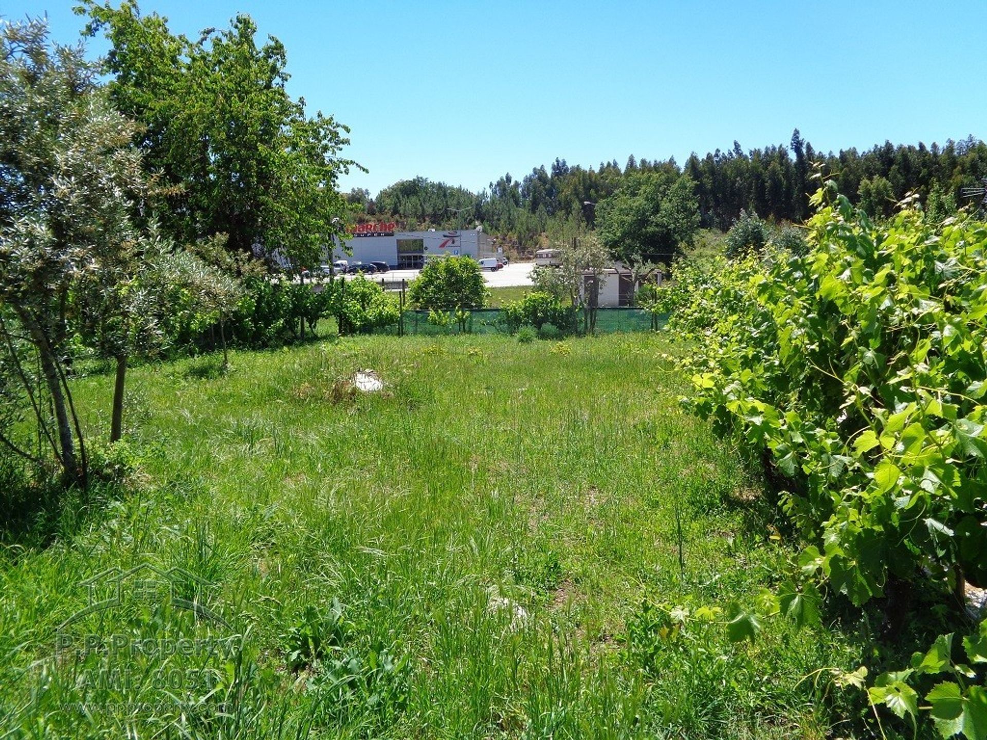 Tierra en Ribeira de São Pedro, Leiría 10029251