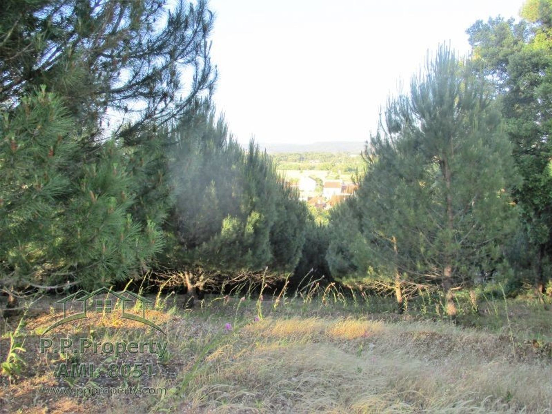 Land in Palhava, Santarem 10029252