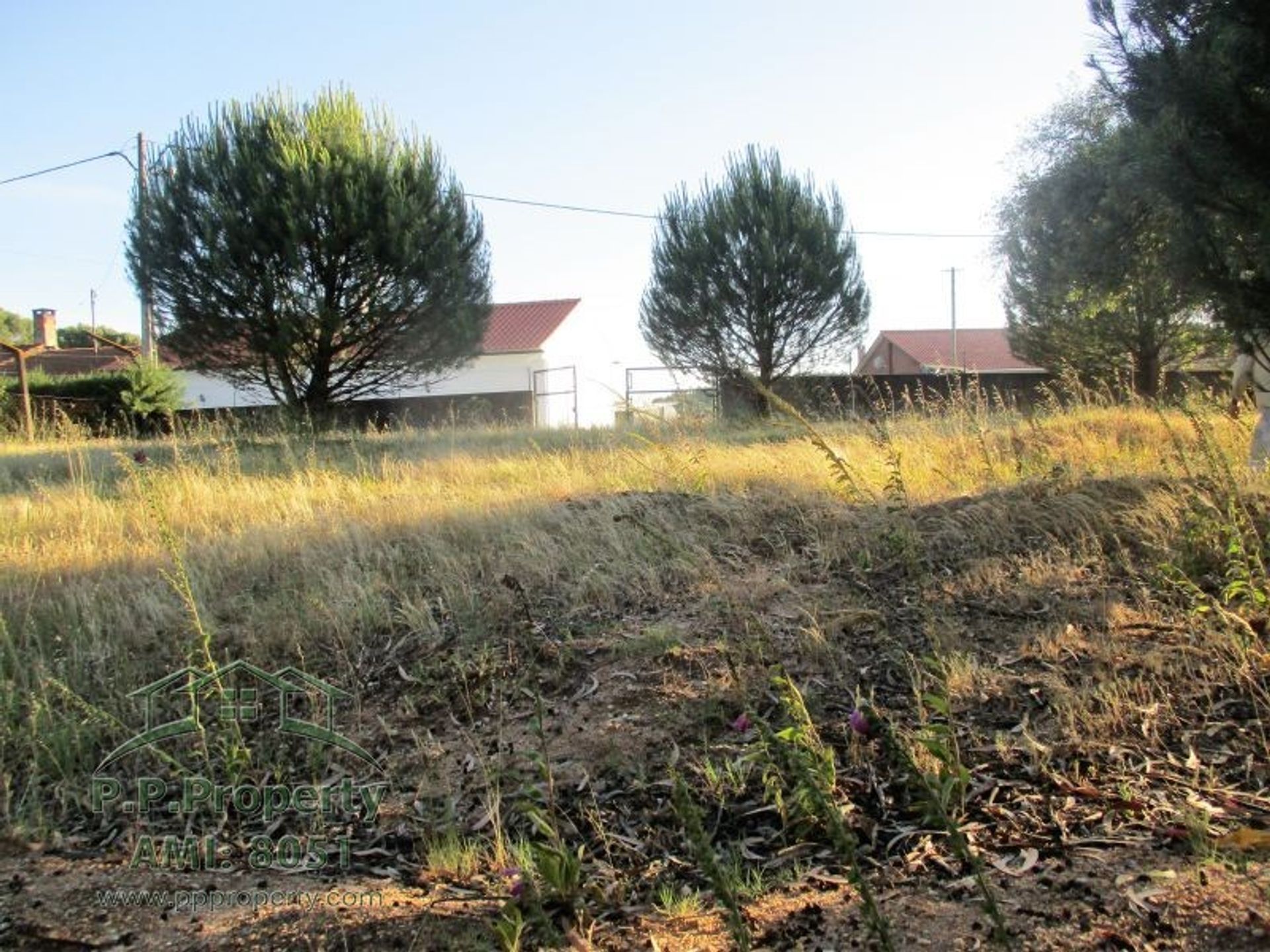 Terra no Palhava, Santarém 10029252